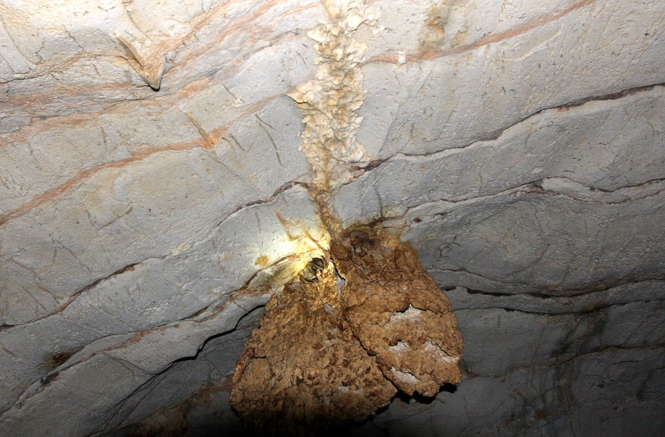 ANKARANA NATIONAL PARK MADAGASCAR - GIANT BAT CAVE (8).JPG