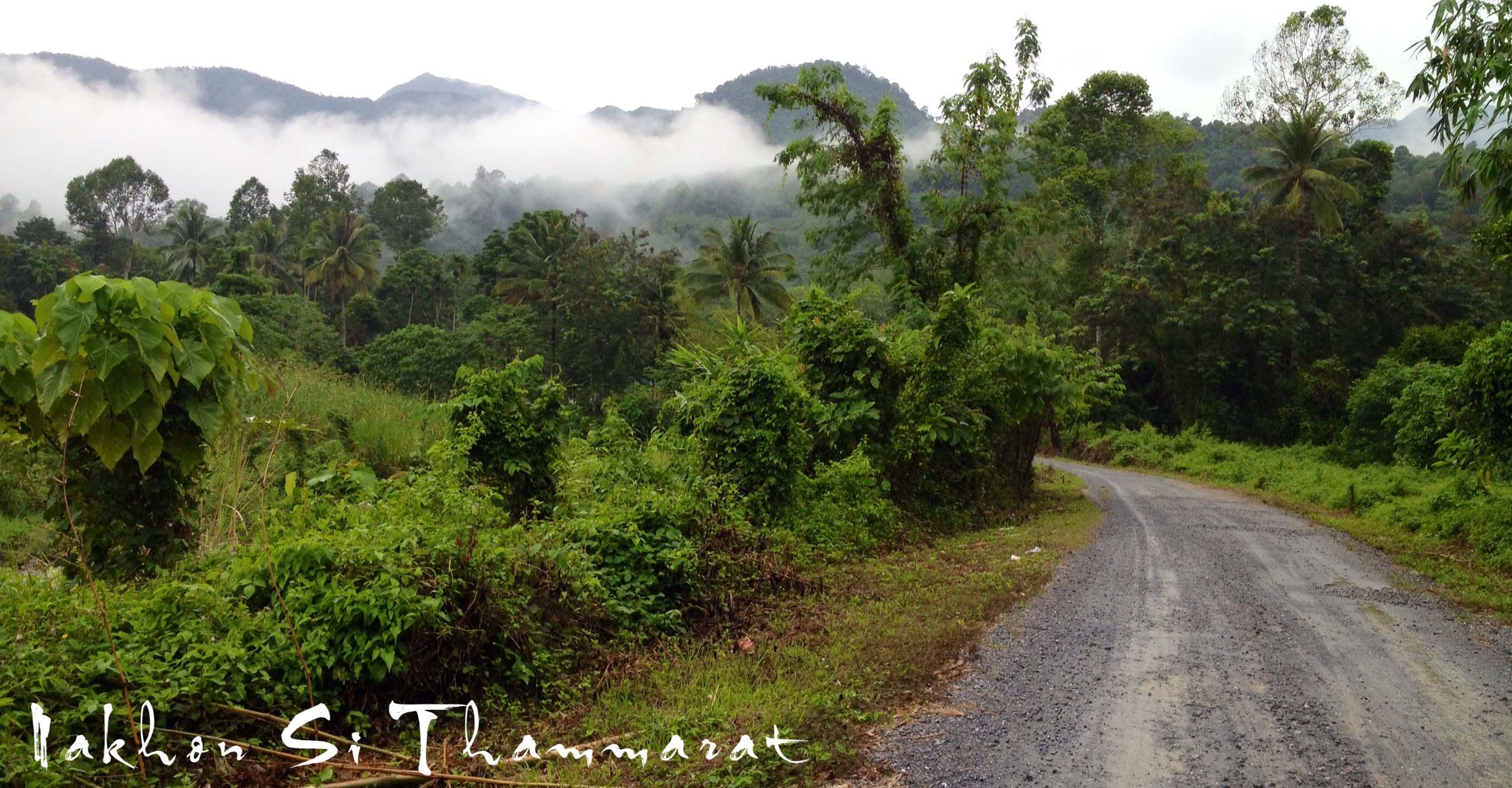 2013 in Nakhonsithammarat and some Krabi with Family (266).JPG