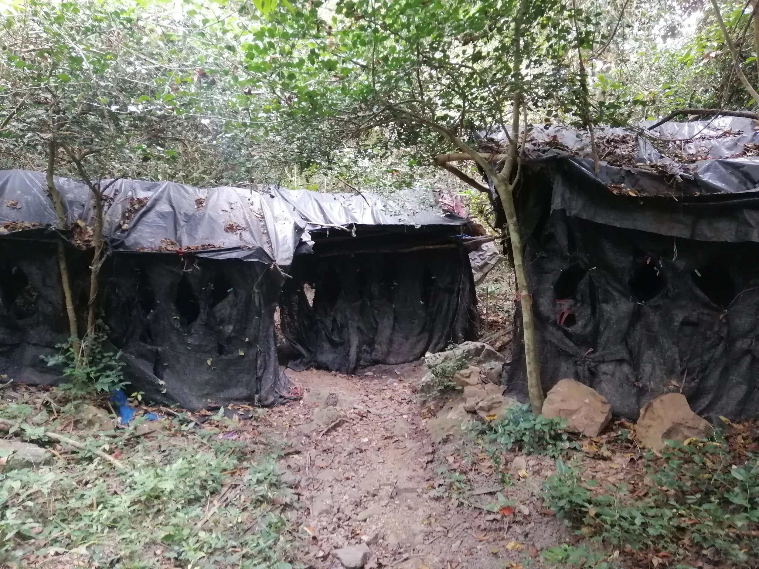 One of the many "Bor Naam" or bird blind/waterholes used as a cottage industry for locals around the park's perimeter.