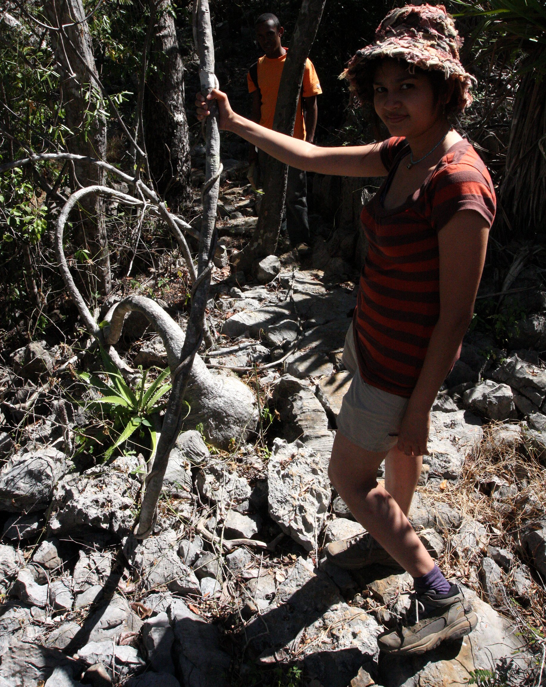 PLANT - ADENIA EPIGEA - ANKARANA NATIONAL PARK MADAGASCAR.JPG