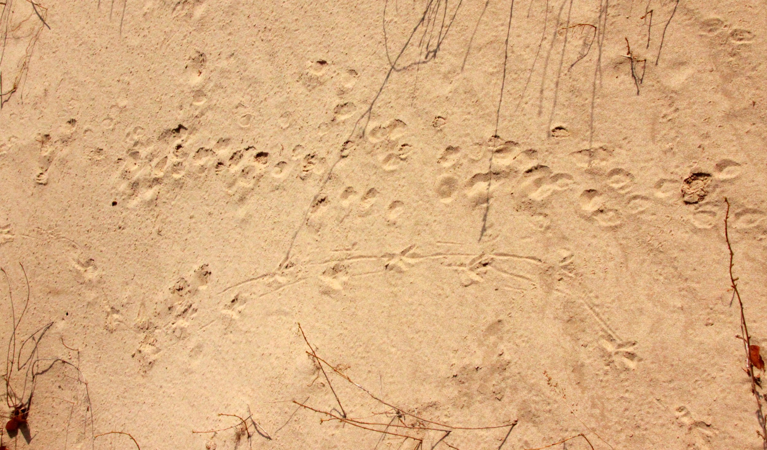 KULUN QI INNER MONGOLIA CHINA - DUNES (1).JPG