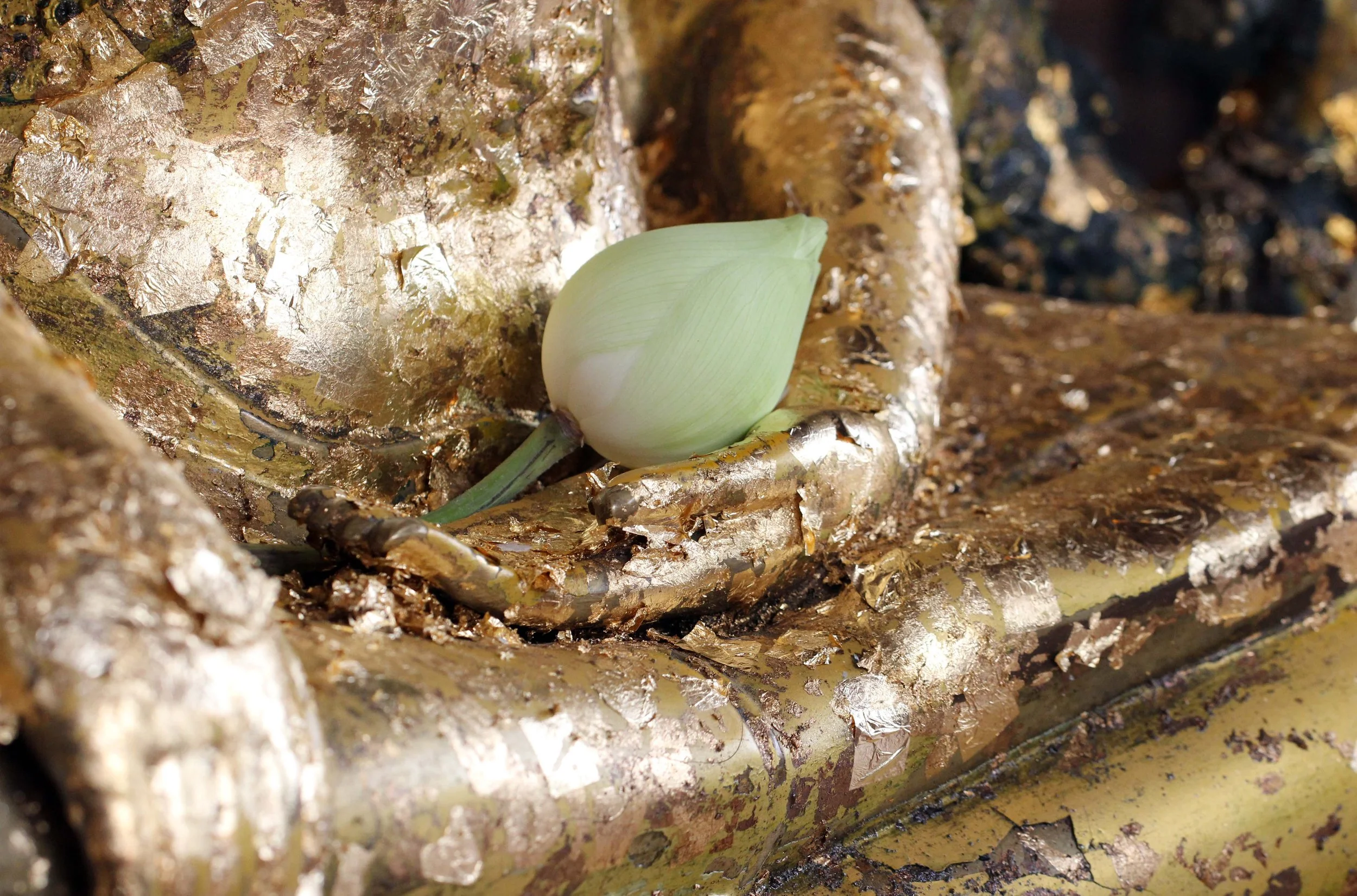 2013 Ayutthaya ISB Passion Day (147).JPG