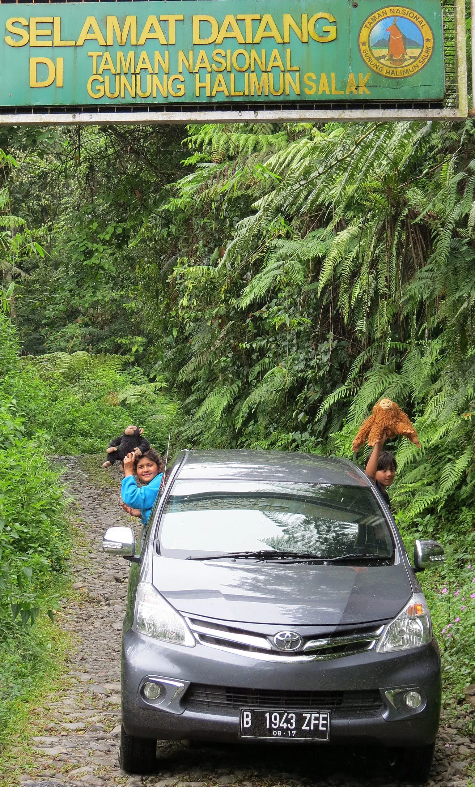 HALIMUN  NATIONAL PARK - JAVA BARAT INDONESIA (42).JPG