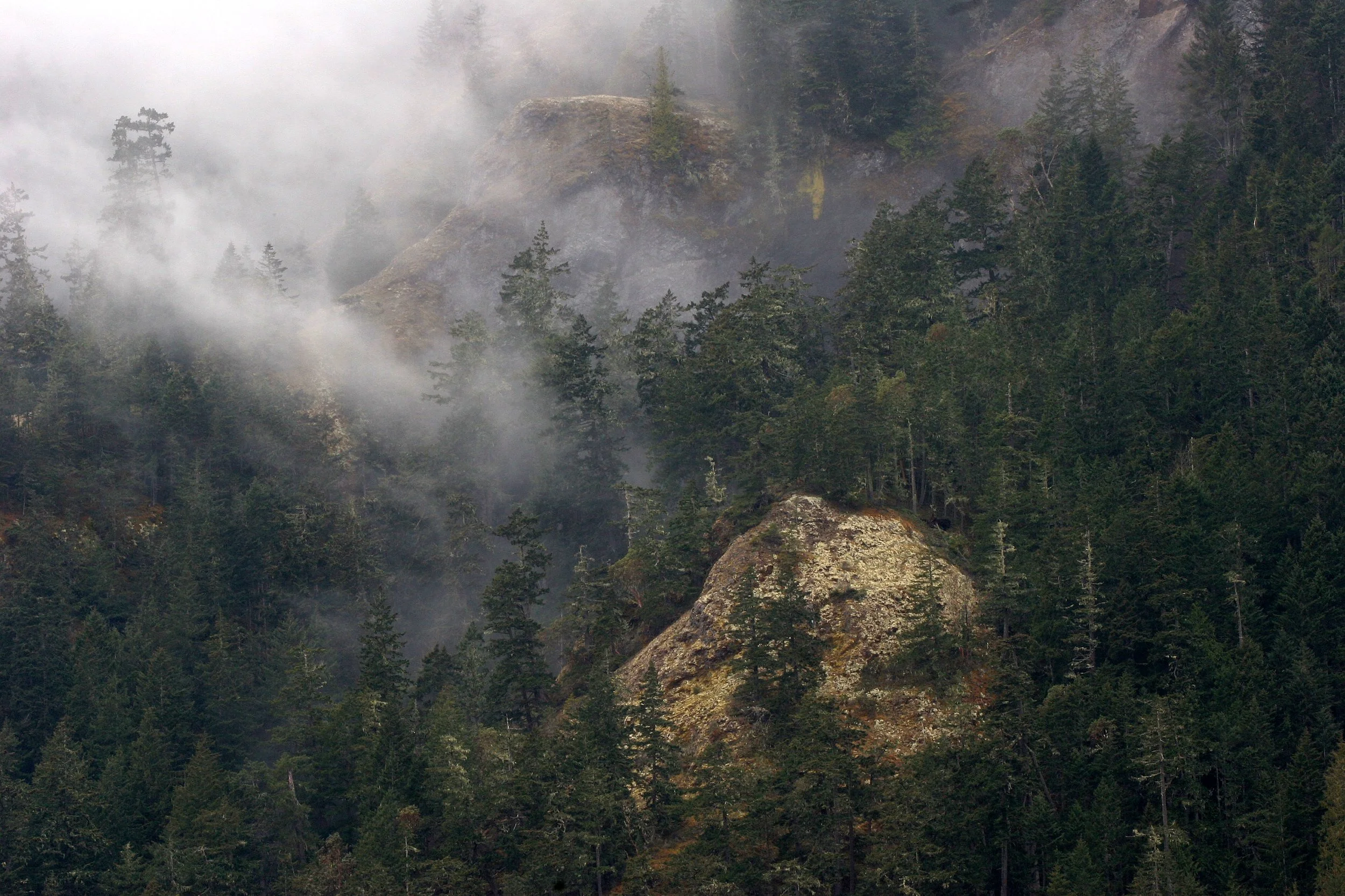 ELWHA RIVER WATERSHED (6).JPG