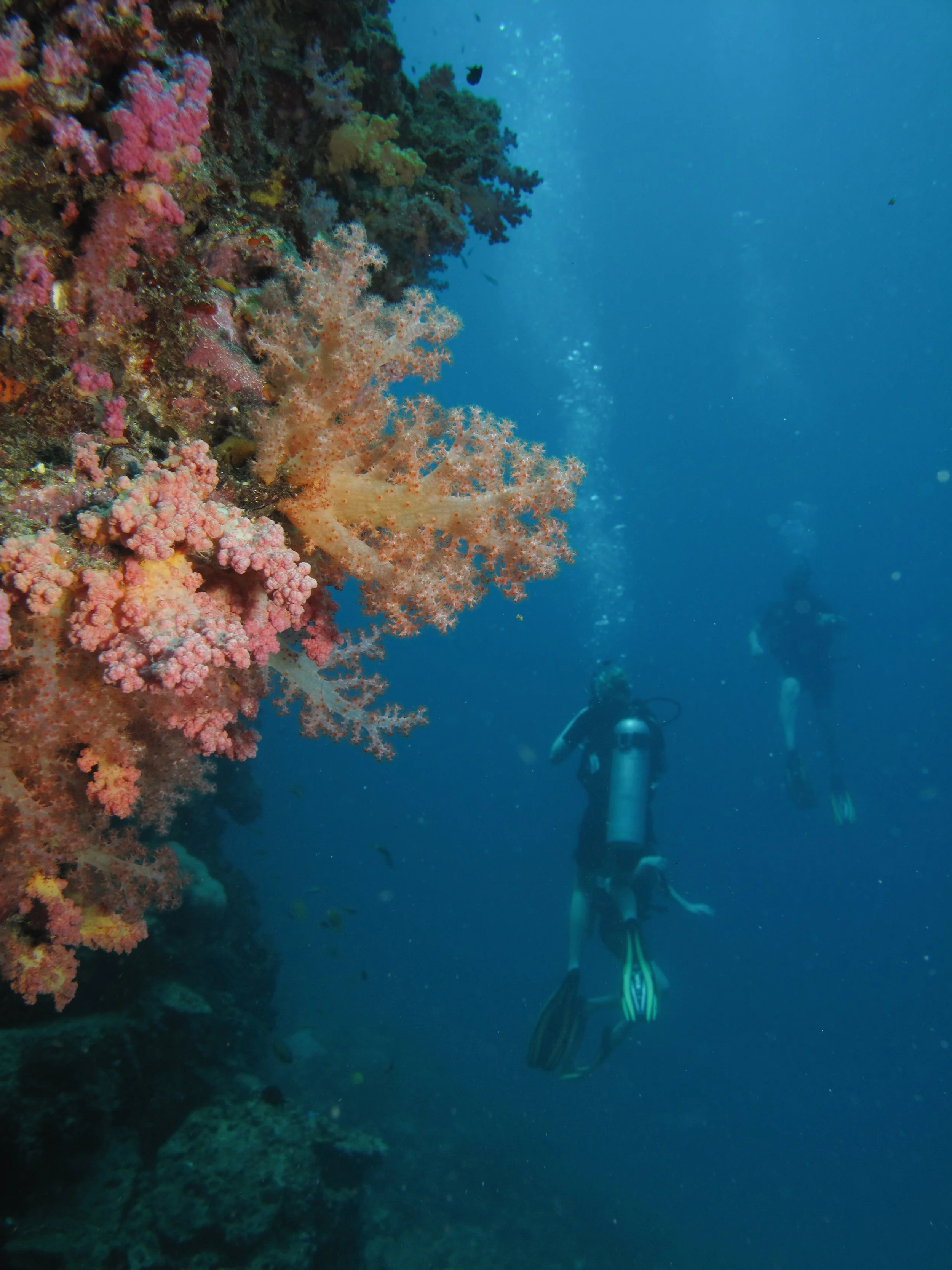 2013 Koh Lanta Dive Trip Koh Ha (64).jpg