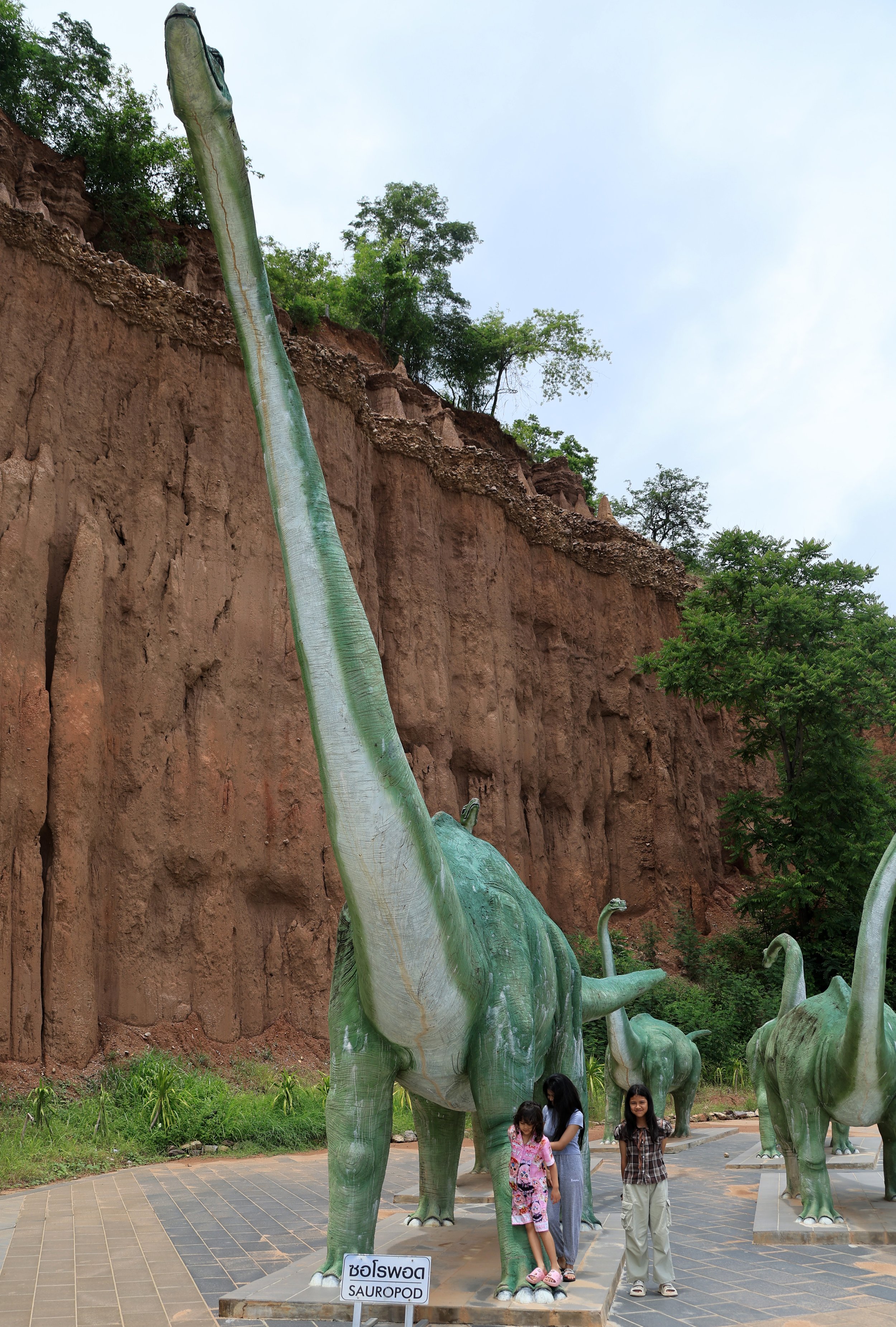 Fang Ta Chai Sathan, Doi Phu Nang National Park, Ban Chai Sathan, Chiang Muan Subdistrict, Phayao Province (13).jpg