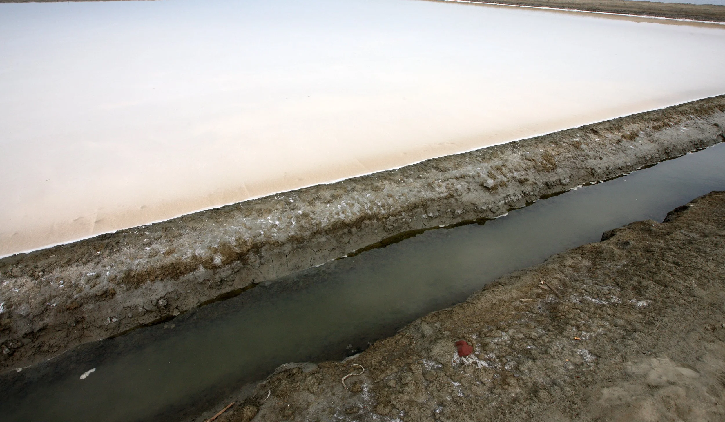 2011 Pak Thale Salt Ponds (4).JPG