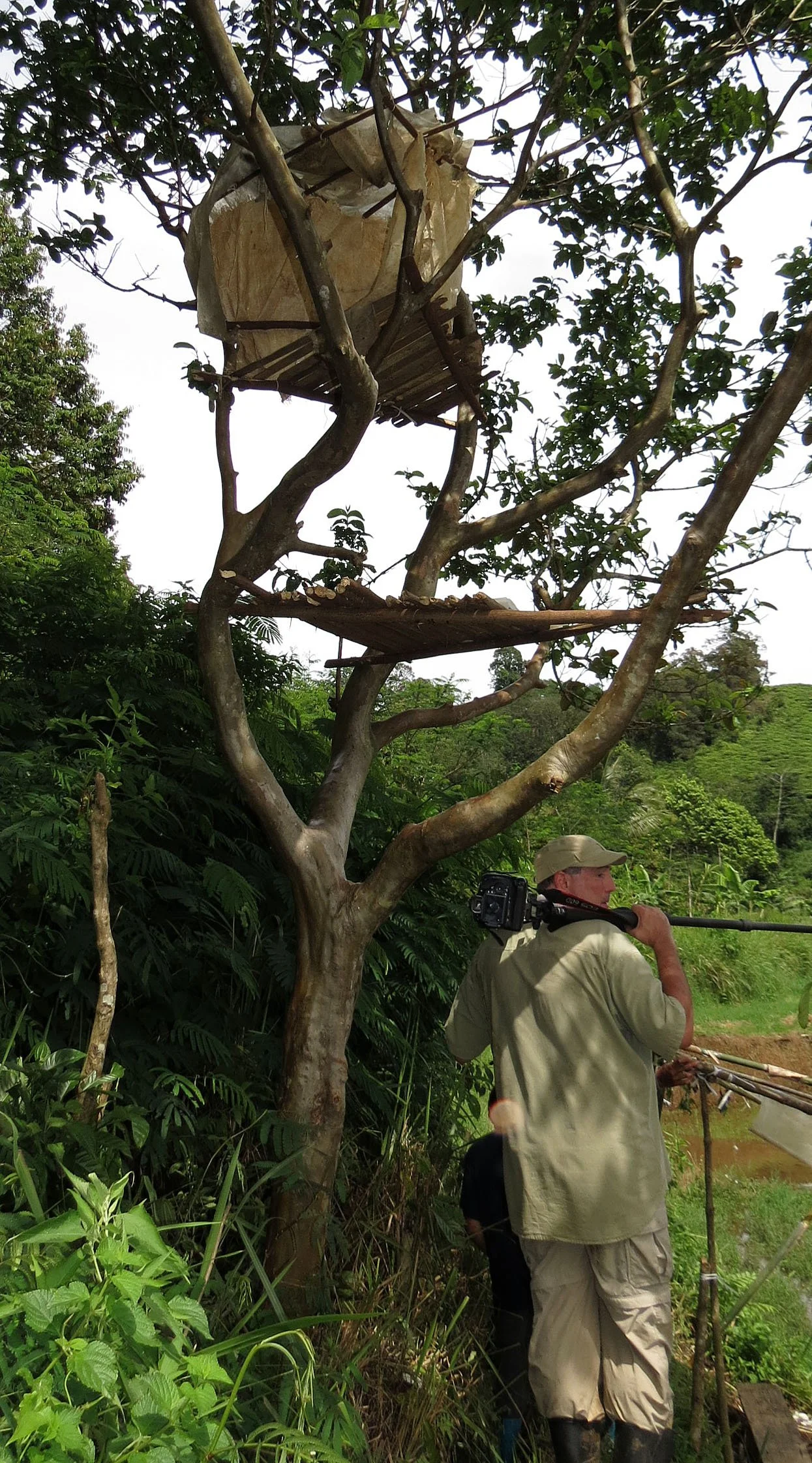 HALIMUN  NATIONAL PARK - JAVA BARAT INDONESIA (16).JPG