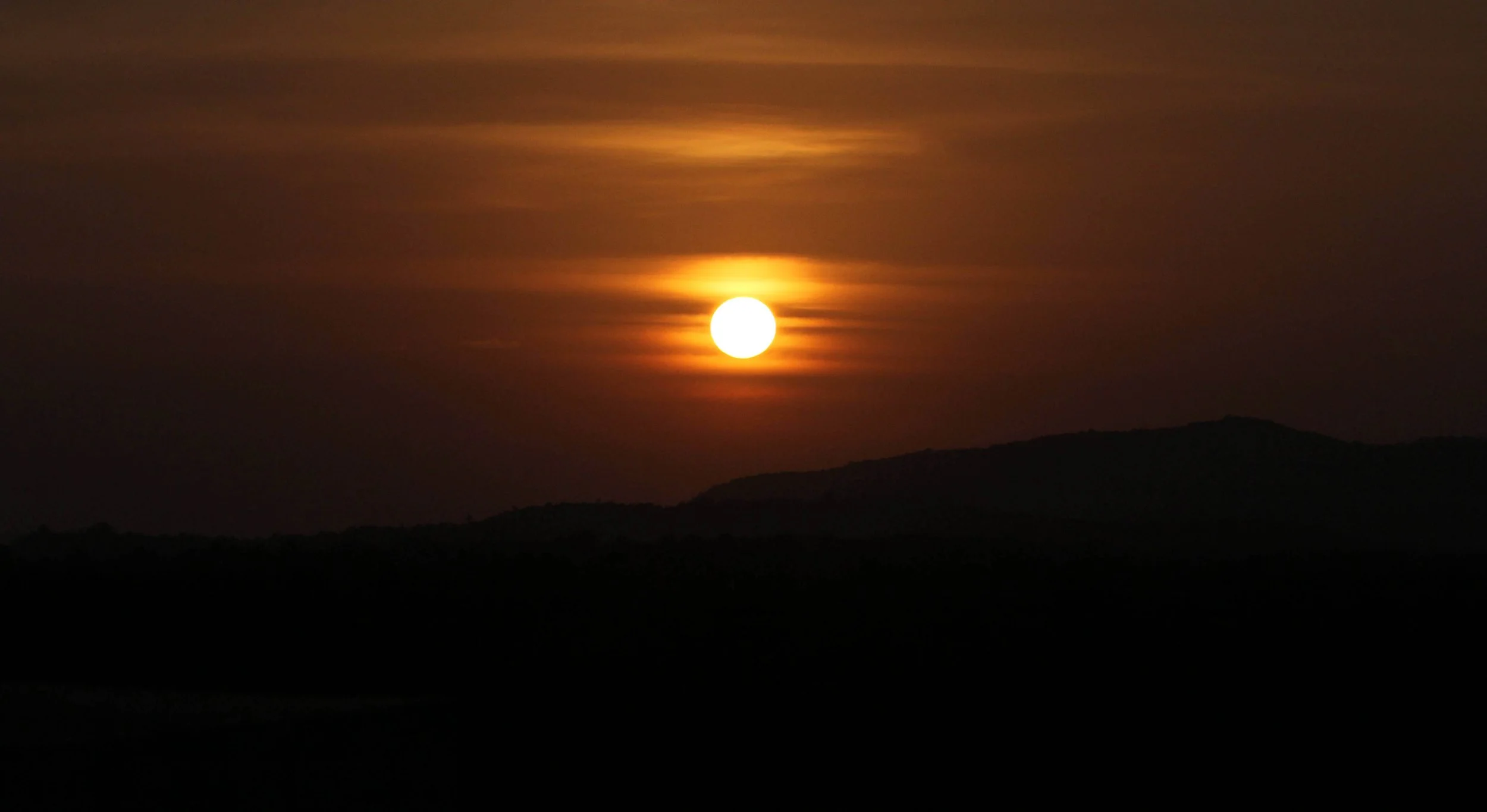 SIRIGIYA FOREST AND FORTRESS AREA SRI LANKA - PHOTO BY SOM SMITH (14).JPG