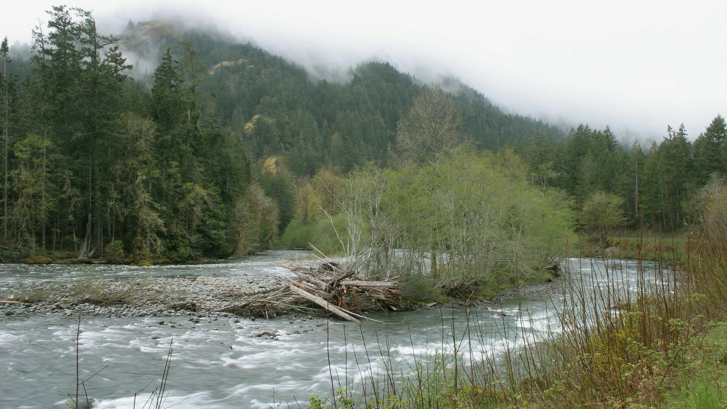 ELWHA RIVER VALLEY (5).JPG