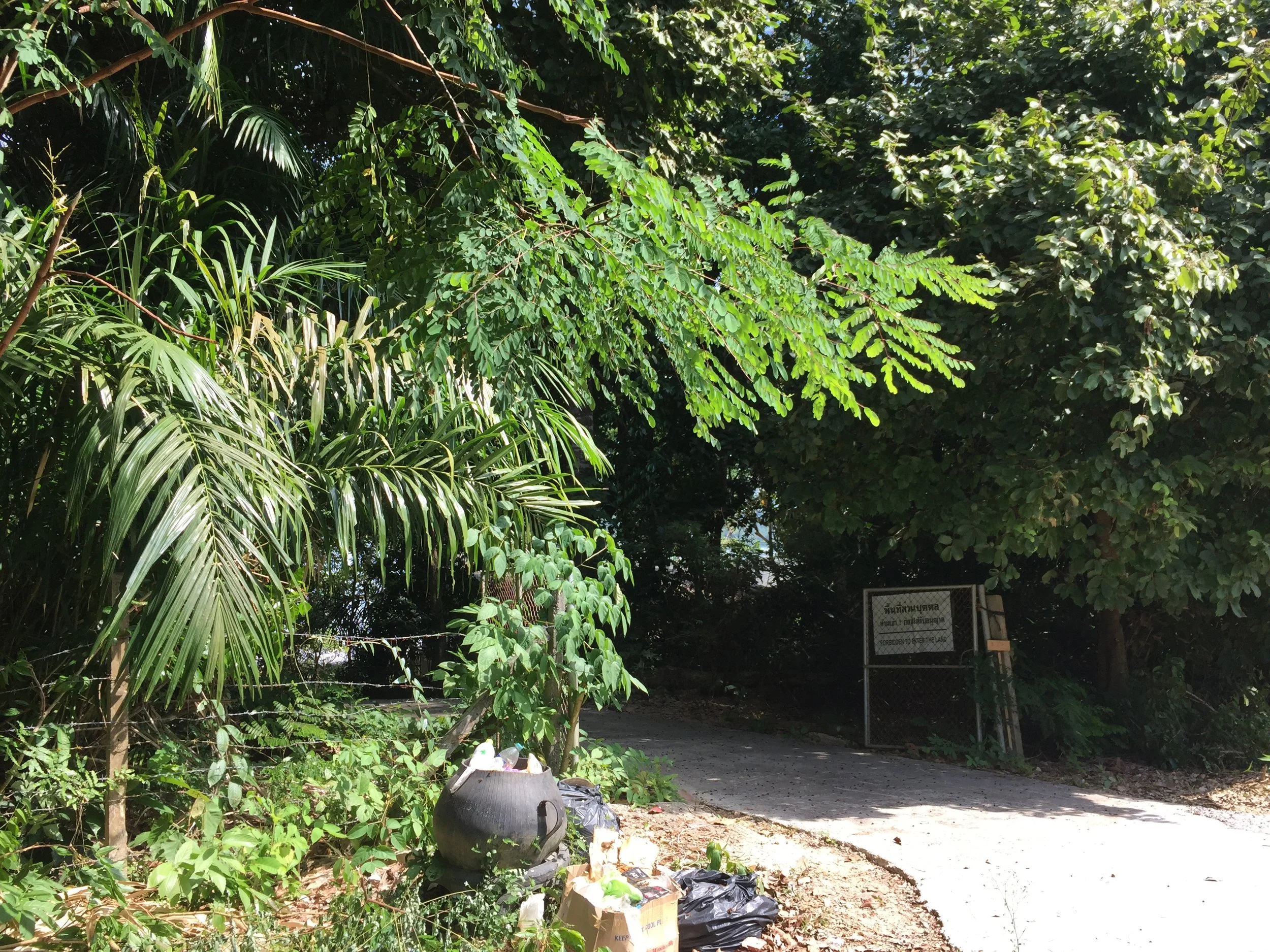 2015 Koh Lanta Garden & Nature (260).jpg