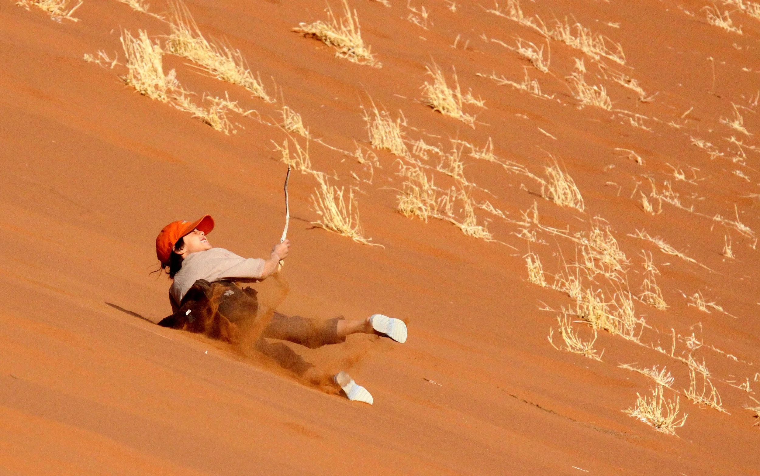 SOSSUSVLEI, NAMIB NAUKLUFT NATIONAL PARK, NAMIBIA - DEAD VLEI (91).JPG