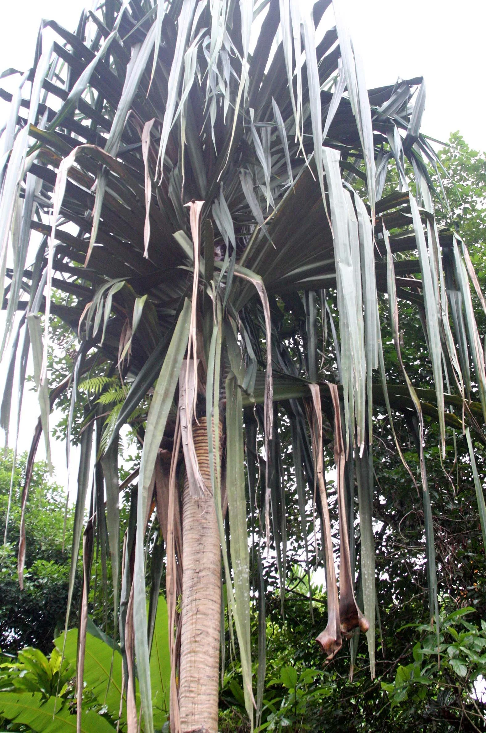 2009 Promluk Property Views (19).JPG