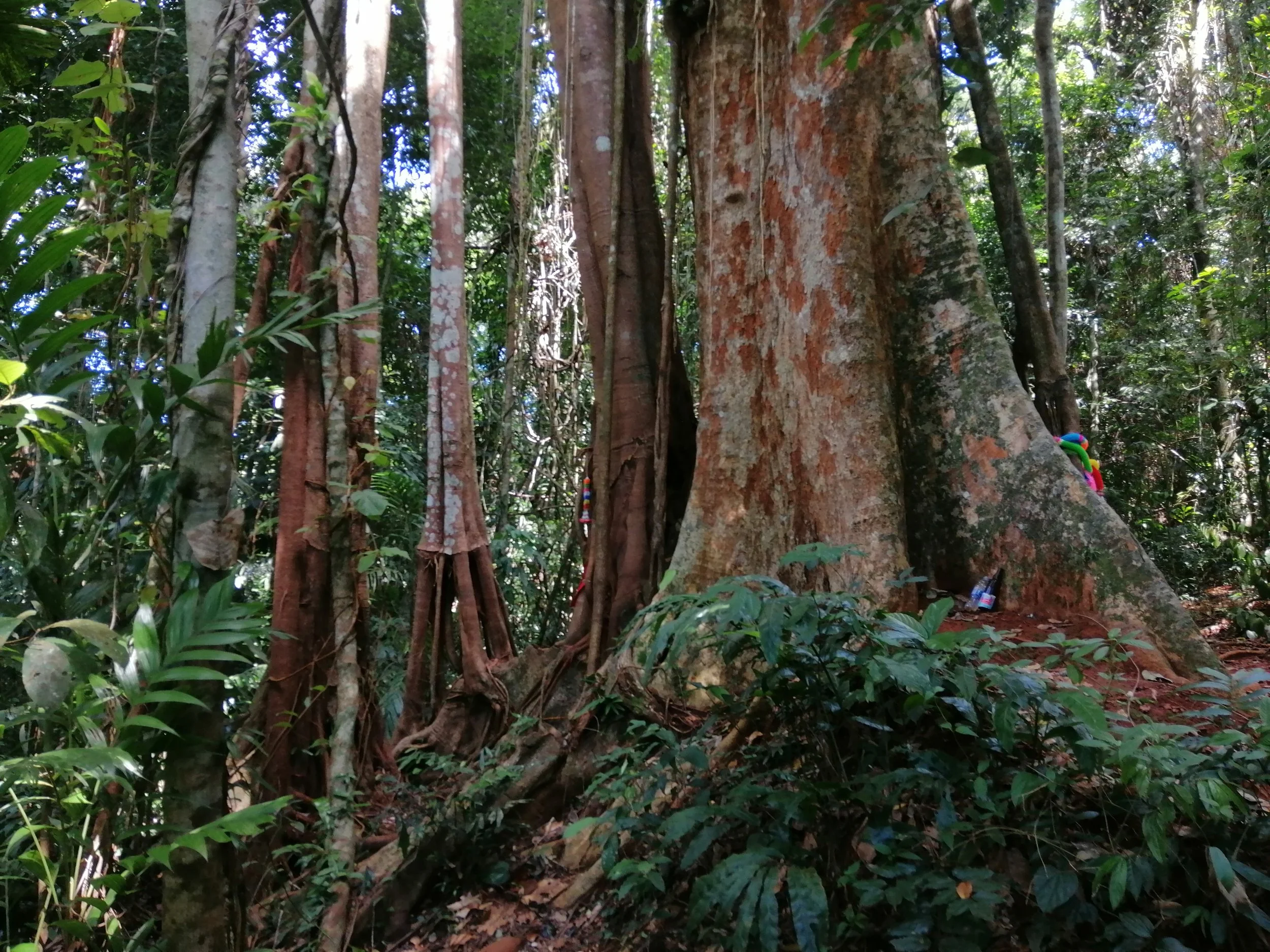 2019 Koh Kood Road Trip (60).jpg