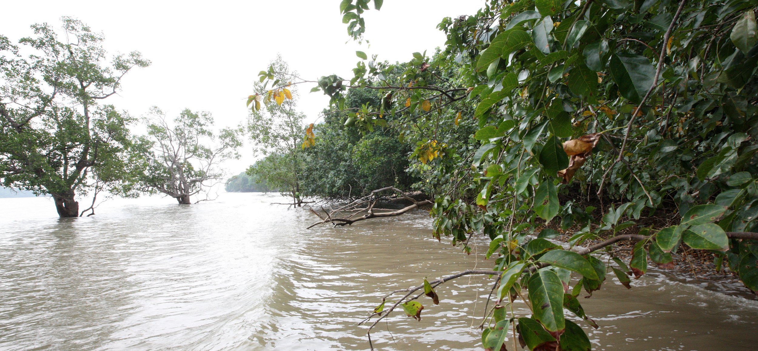 LANTA ISLAND - OUR PROPERTY - WINTER 2011 (26).JPG