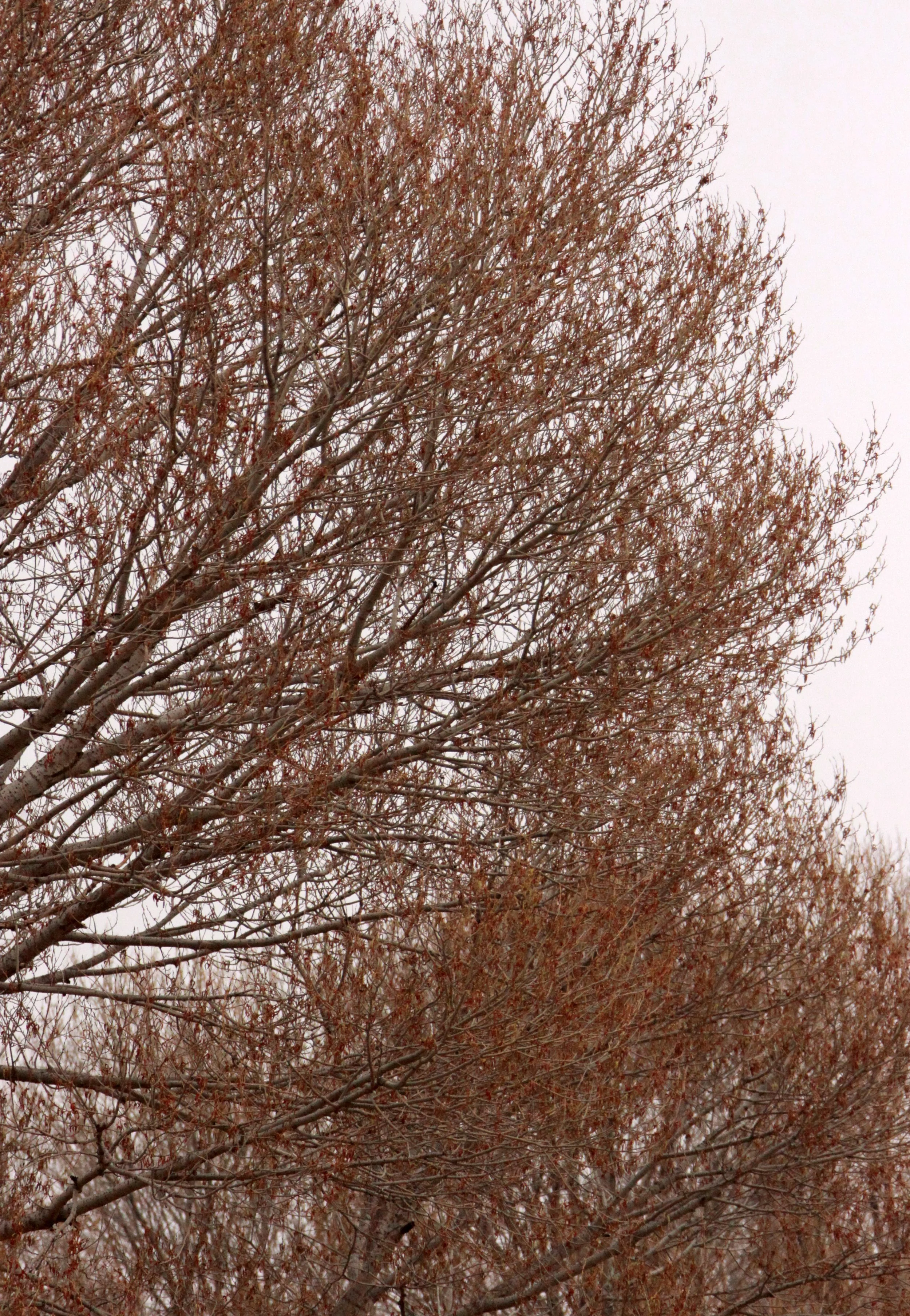 KULUN QI AND SURROUNDING VILLAGES - INNER MONGOLIA CHINA (4).JPG