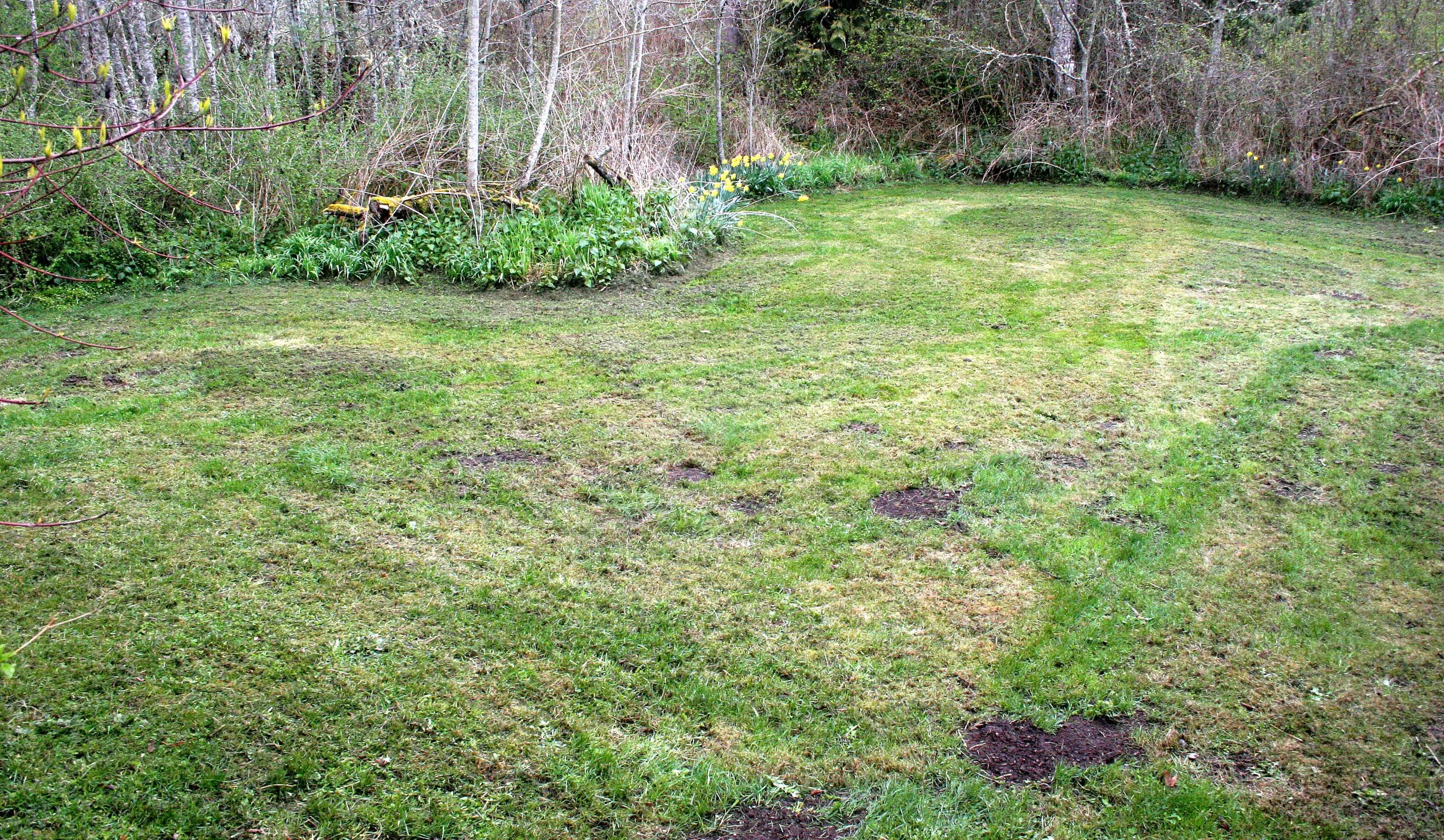 2008-4-19 LAKE FARM TRAILS WALK (15).JPG