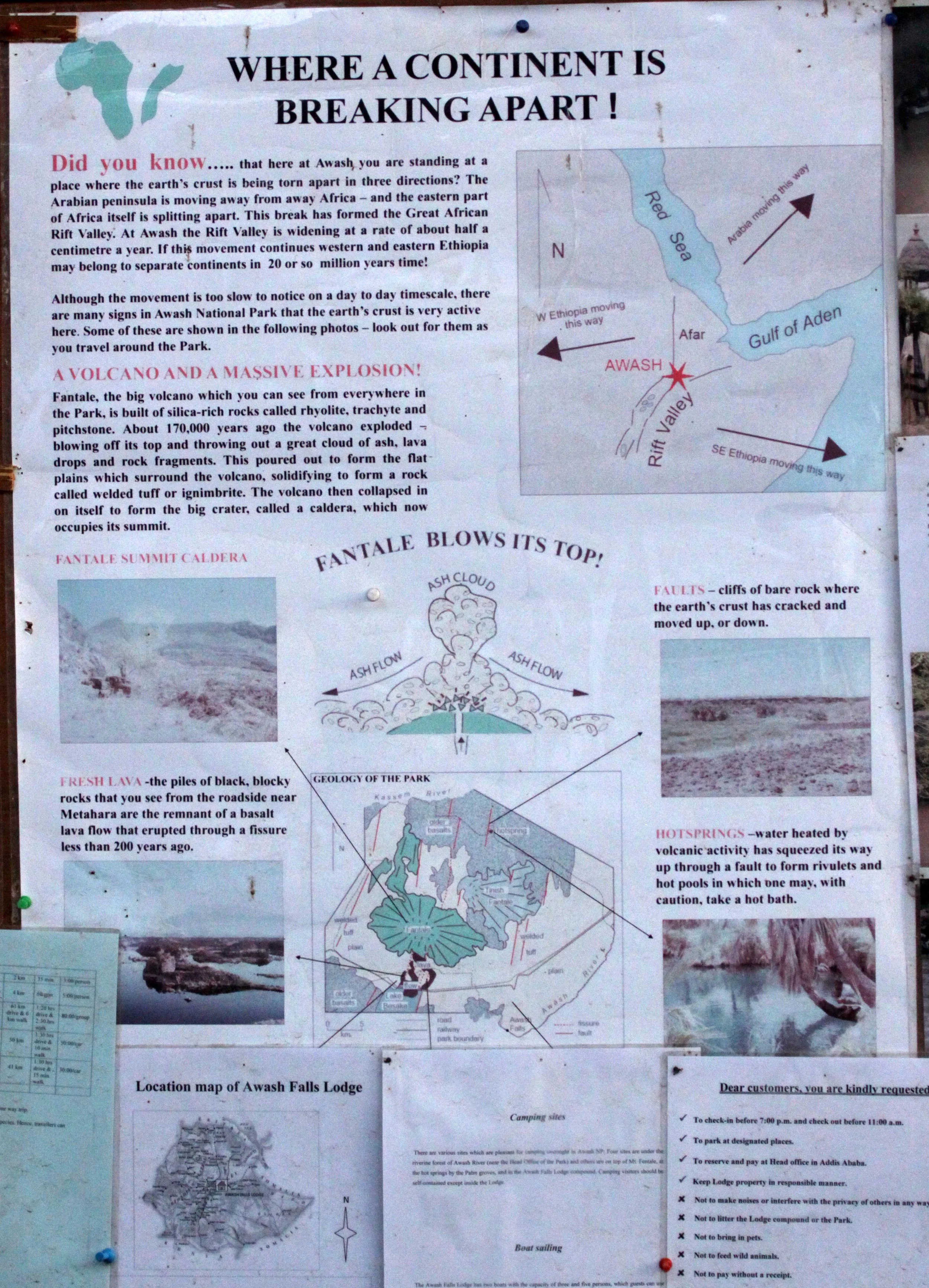 AWASH NATIONAL PARK ETHIOPIA (27).JPG