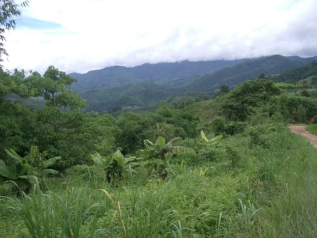 HILLTRIBE - COUNTRYSIDE NEAR CHIANG RAI - 2004 (2).JPG