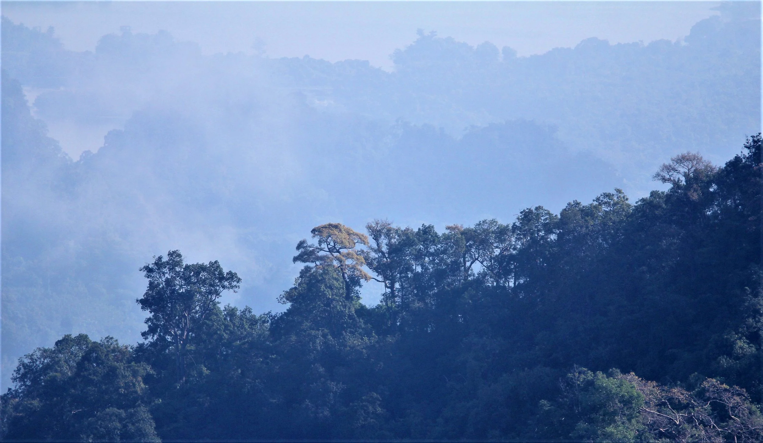 Views of Thung Yai National Wildlife Area as seen from the Chong Yen Campsite.