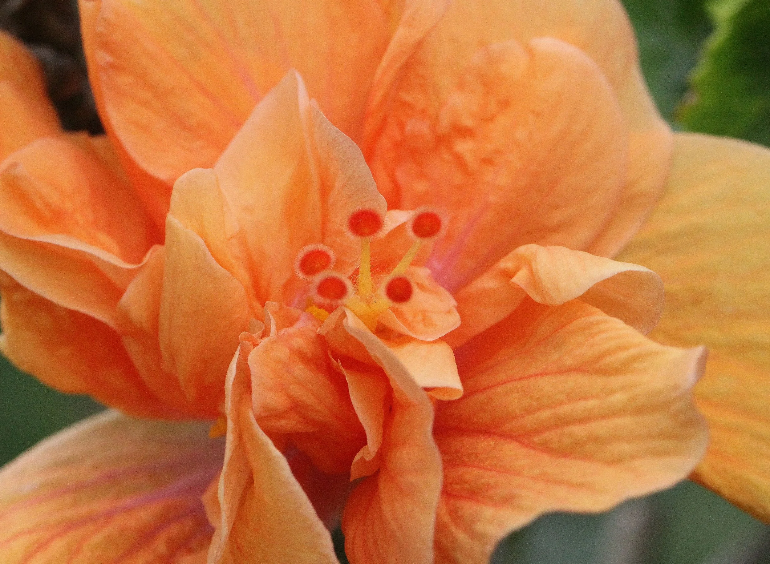 2013 Cha'am and Petchaburi with Family & Friends (37).JPG