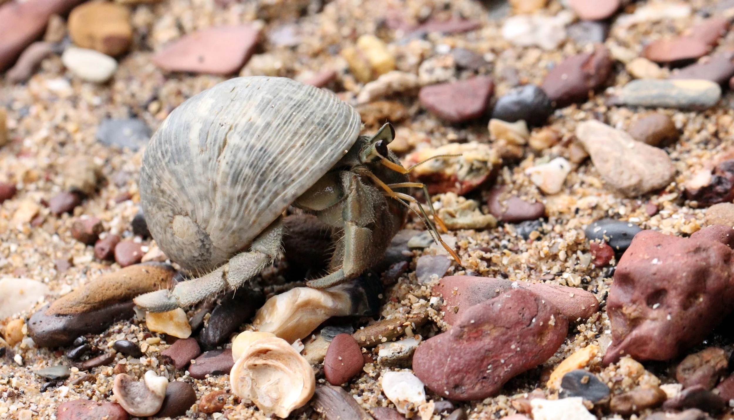 2013 KOH LANTA - OCTOBER BREAK 2013 (260).JPG