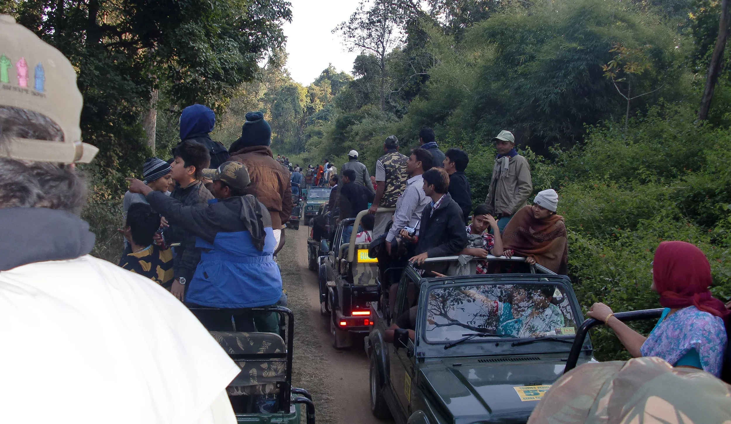 MADHYA PRADESH - KANHA NATIONAL PARK INDIA (10).JPG