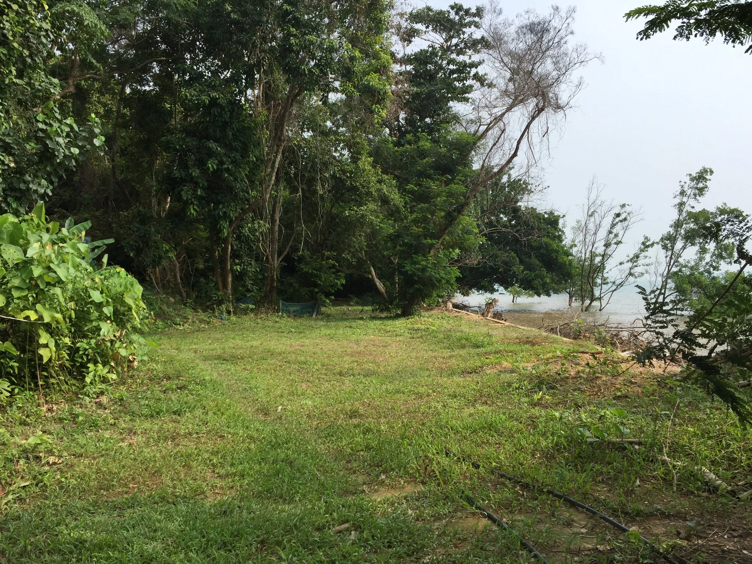 2015 Koh Lanta Garden & Nature (159).JPG