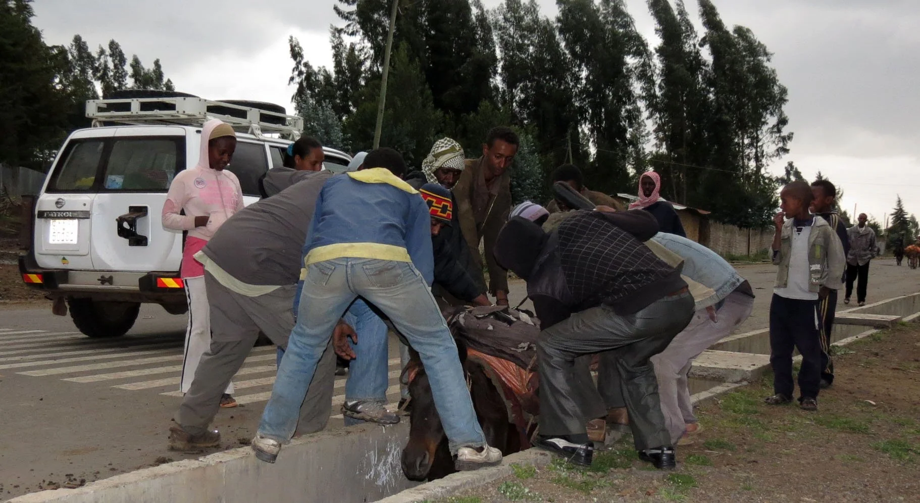 BALE MOUNTAINS NATIONAL PARK ETHIOPIA DINSHO (6).JPG