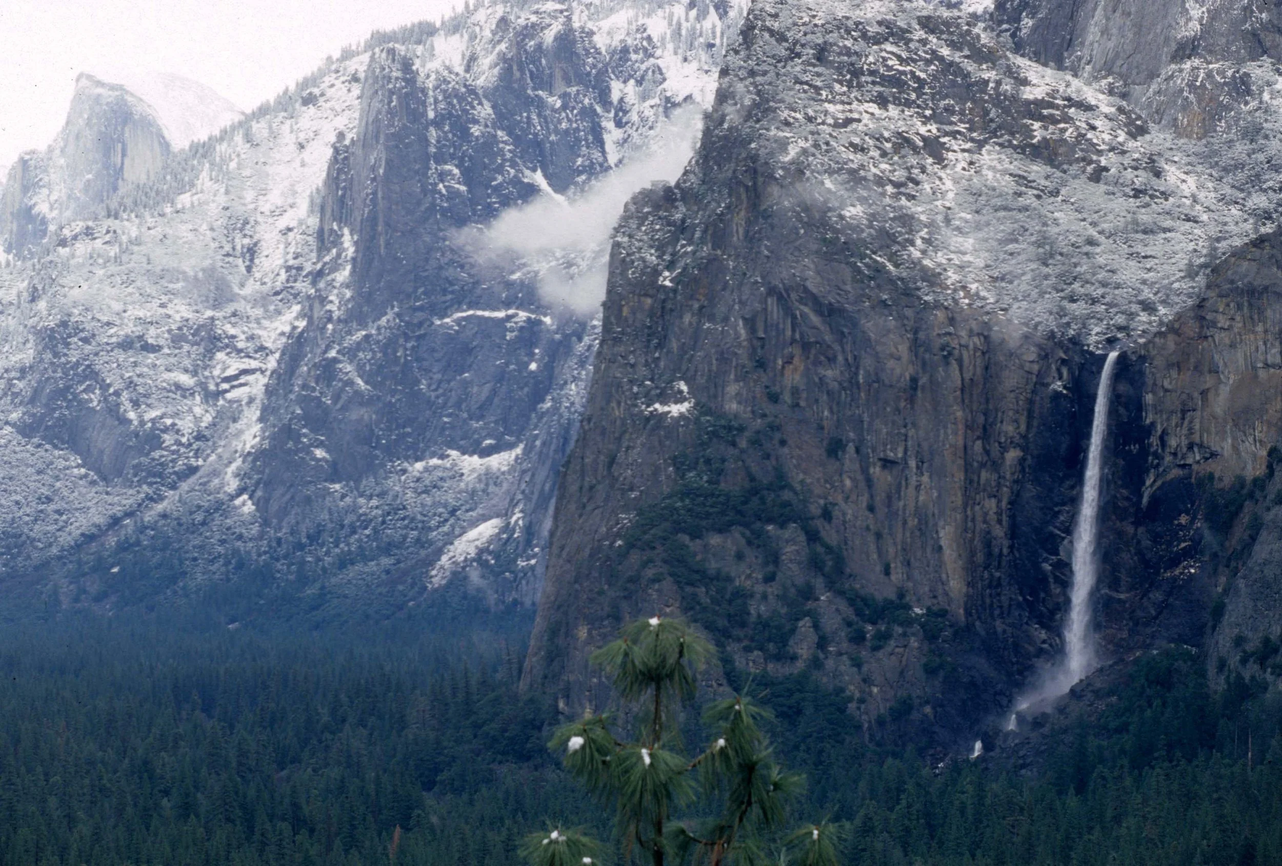 CALIFORNIA - YOSEMITE NATIONAL PARK (12).jpg