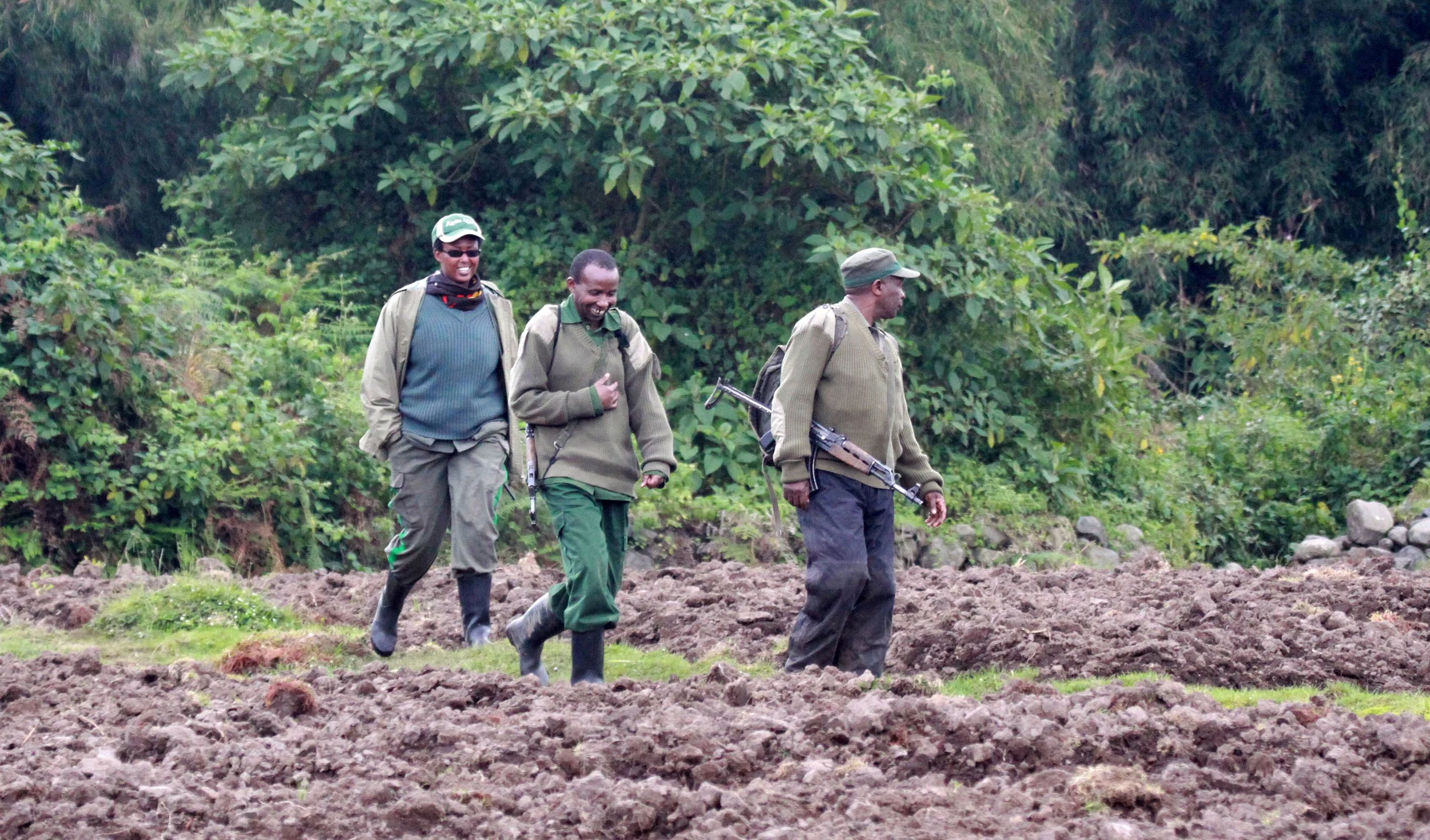 PARC DU VULCANS RWANDA (38).JPG