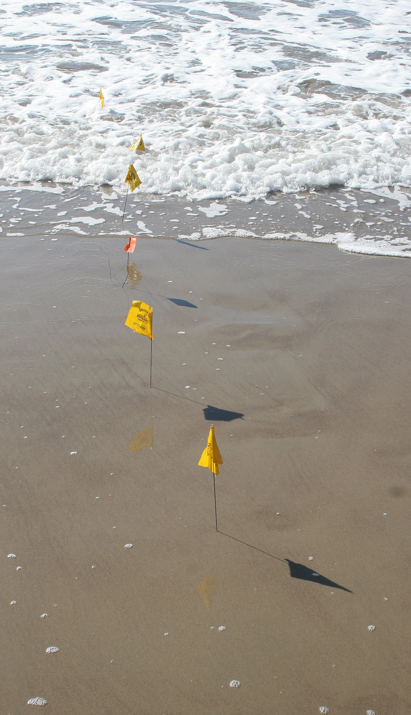 CALIFORNIA - CHANNEL ISLANDS NP - ANACAPA ISLAND - LIMPETS RESEARCH METHODS (4).jpg