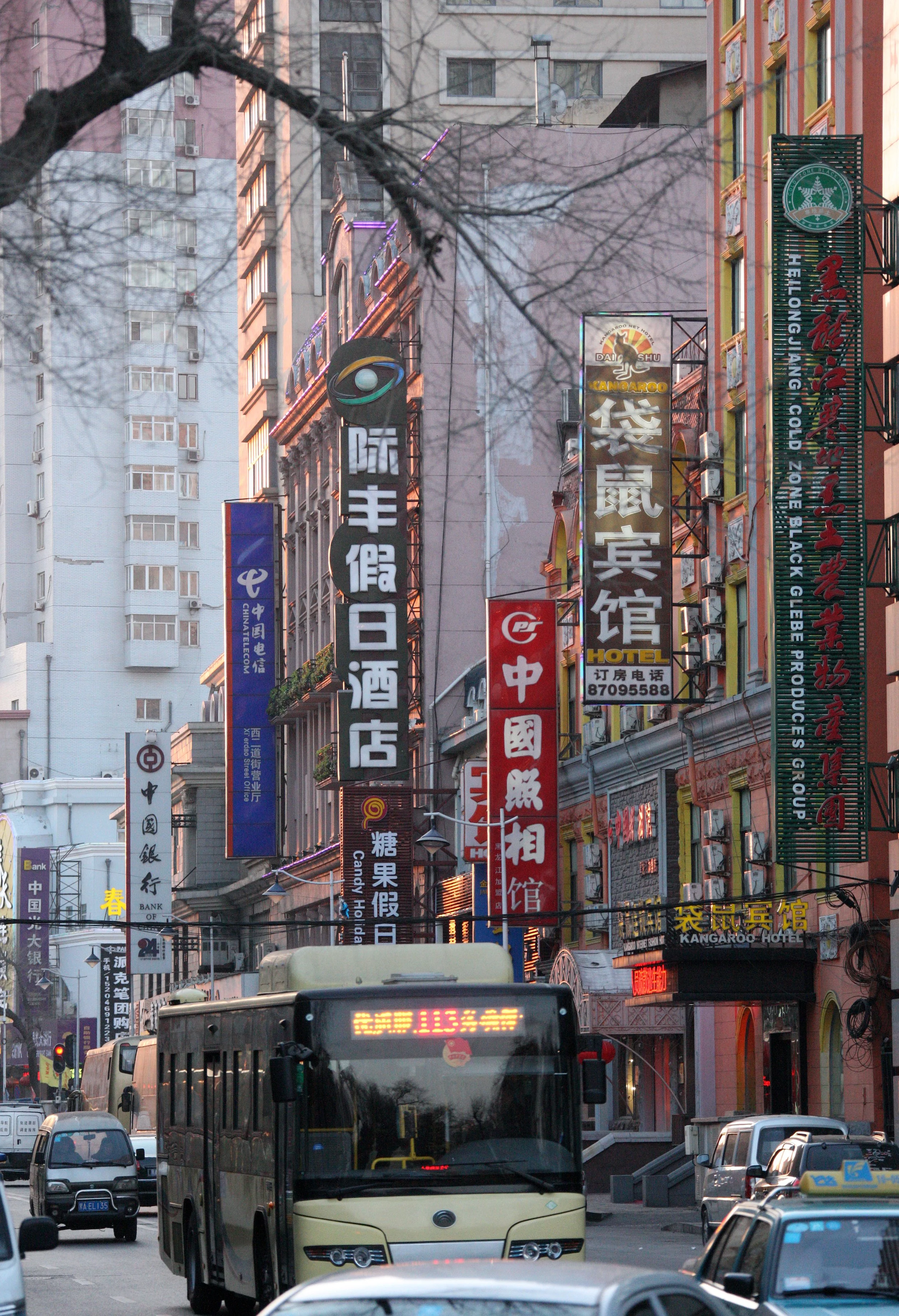 HARBIN - CITY SCENES (61).JPG