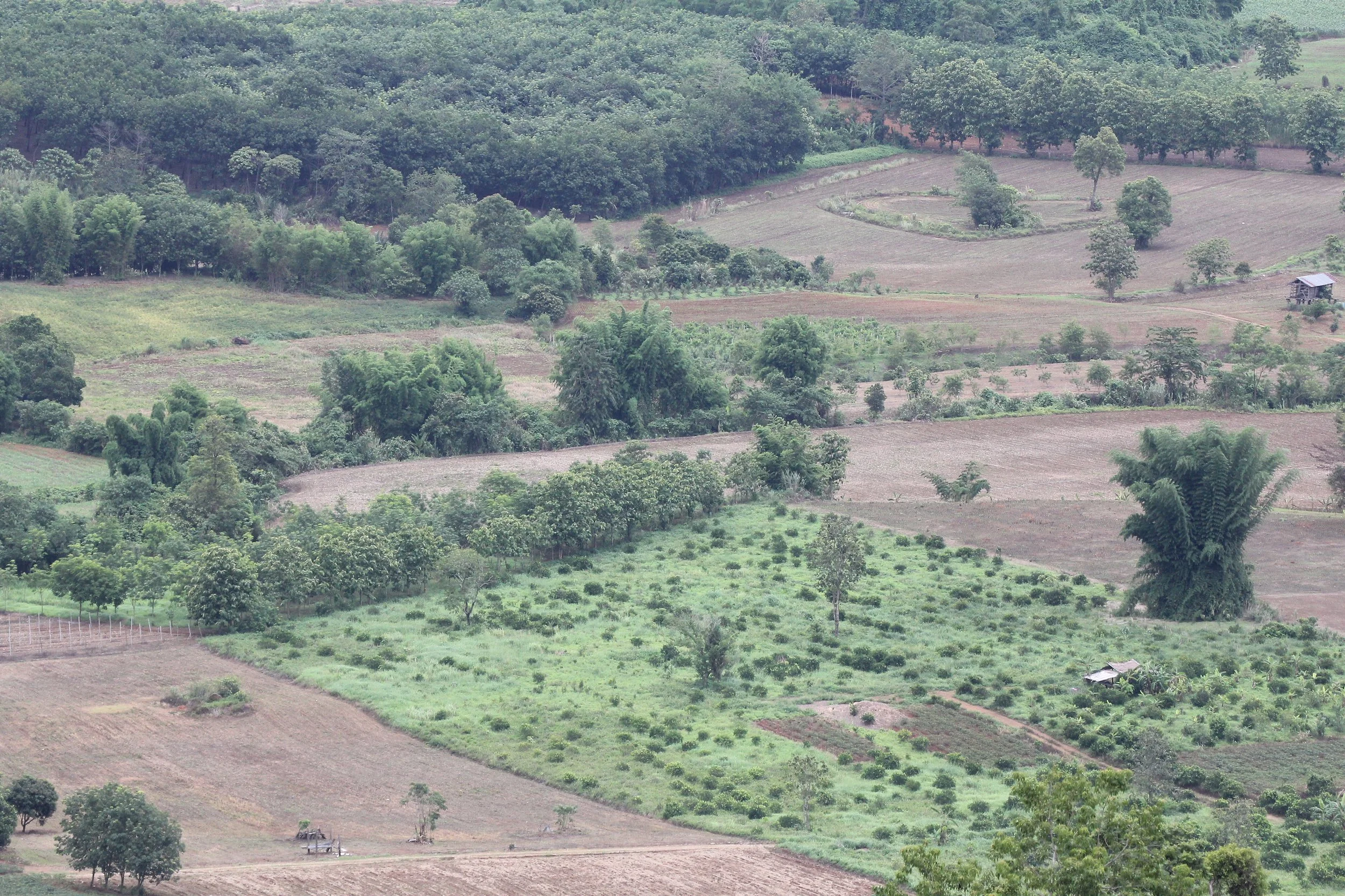 2020 4-5 July Nan Province North Thailand Tirp (15).JPG