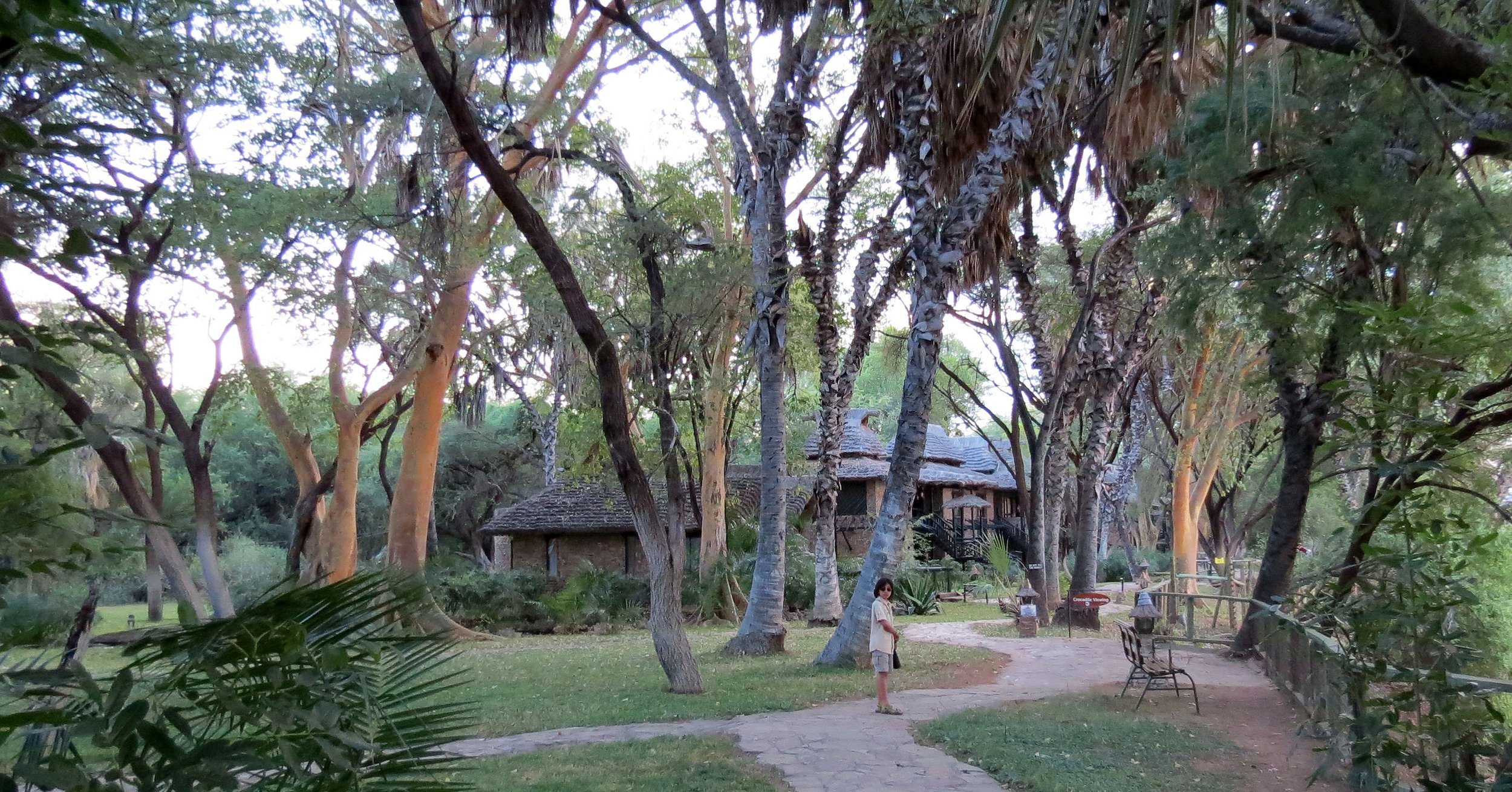 SAMBURU NATIONAL PARK KENYA (87).JPG