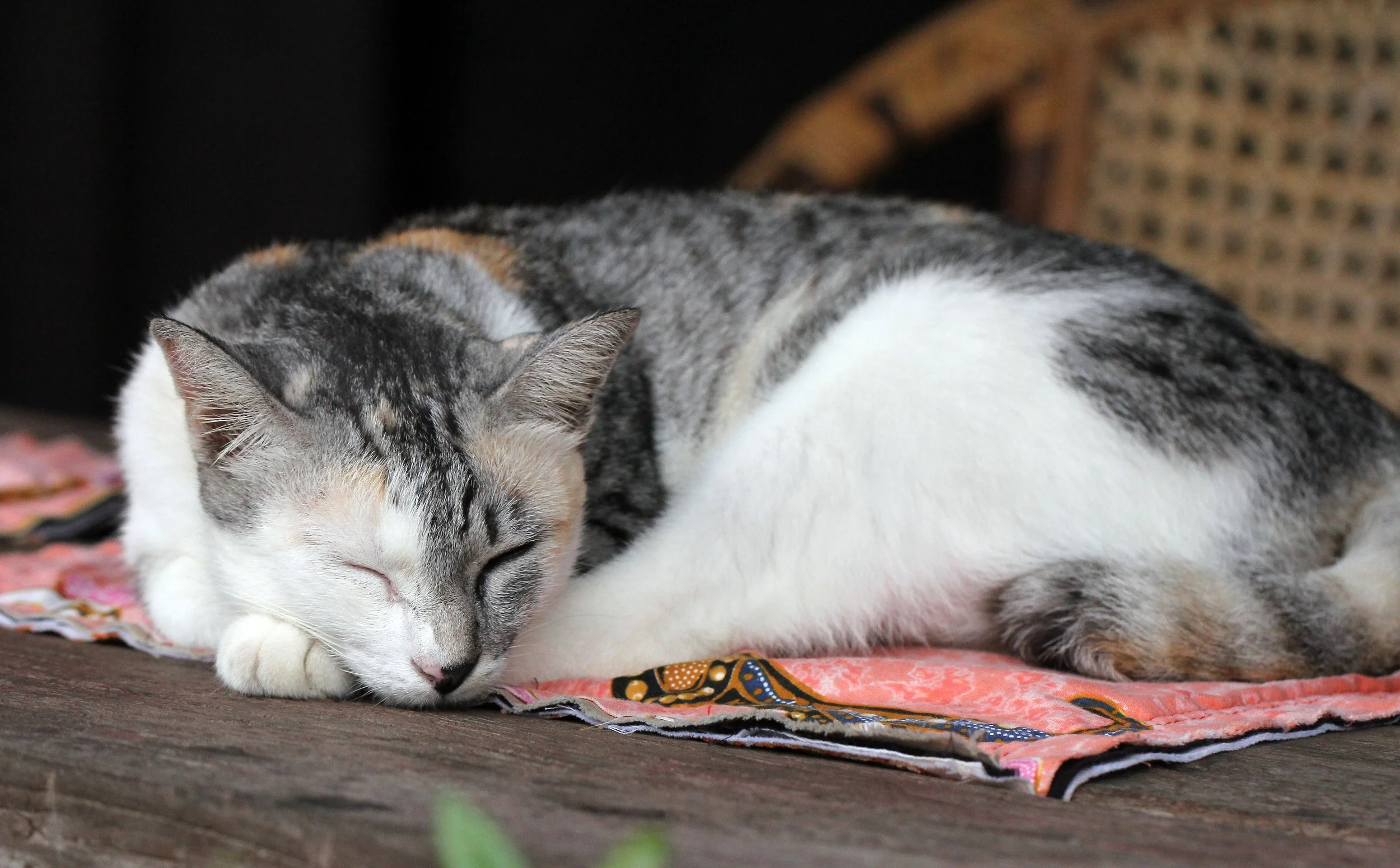 2015 Koh Lanta October Break Trip  (203).JPG