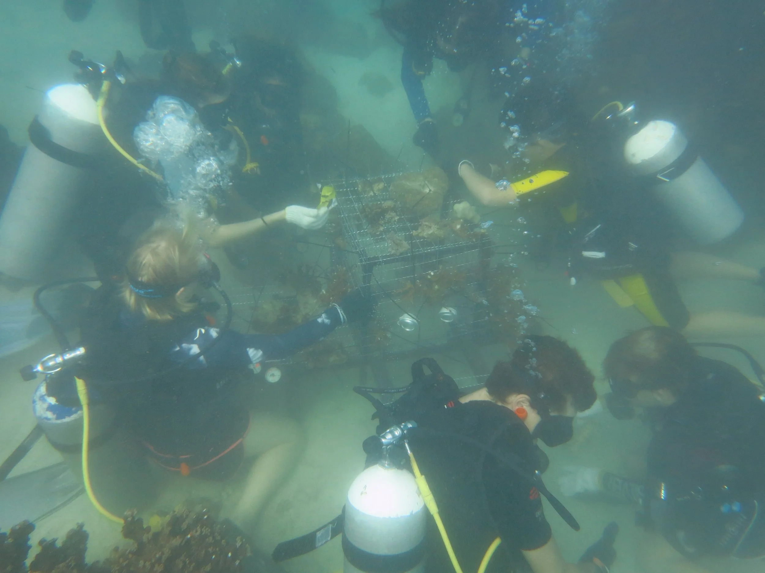 2016 BPS Satthahip Dive Trip with Marine Conservation Club (33).JPG