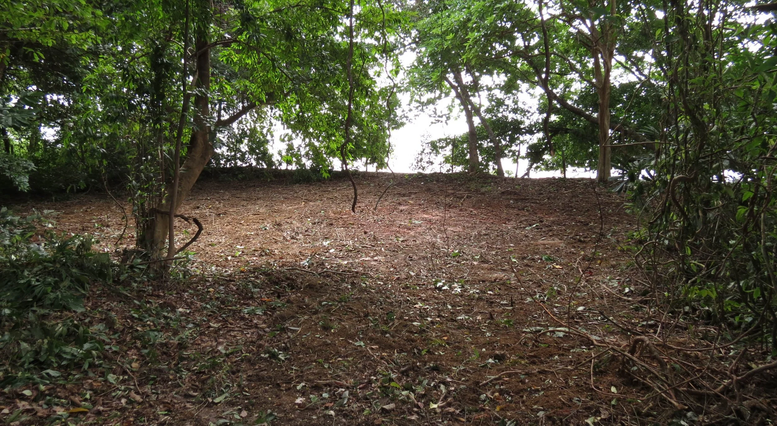 2014 Koh Lanta Build (12).JPG