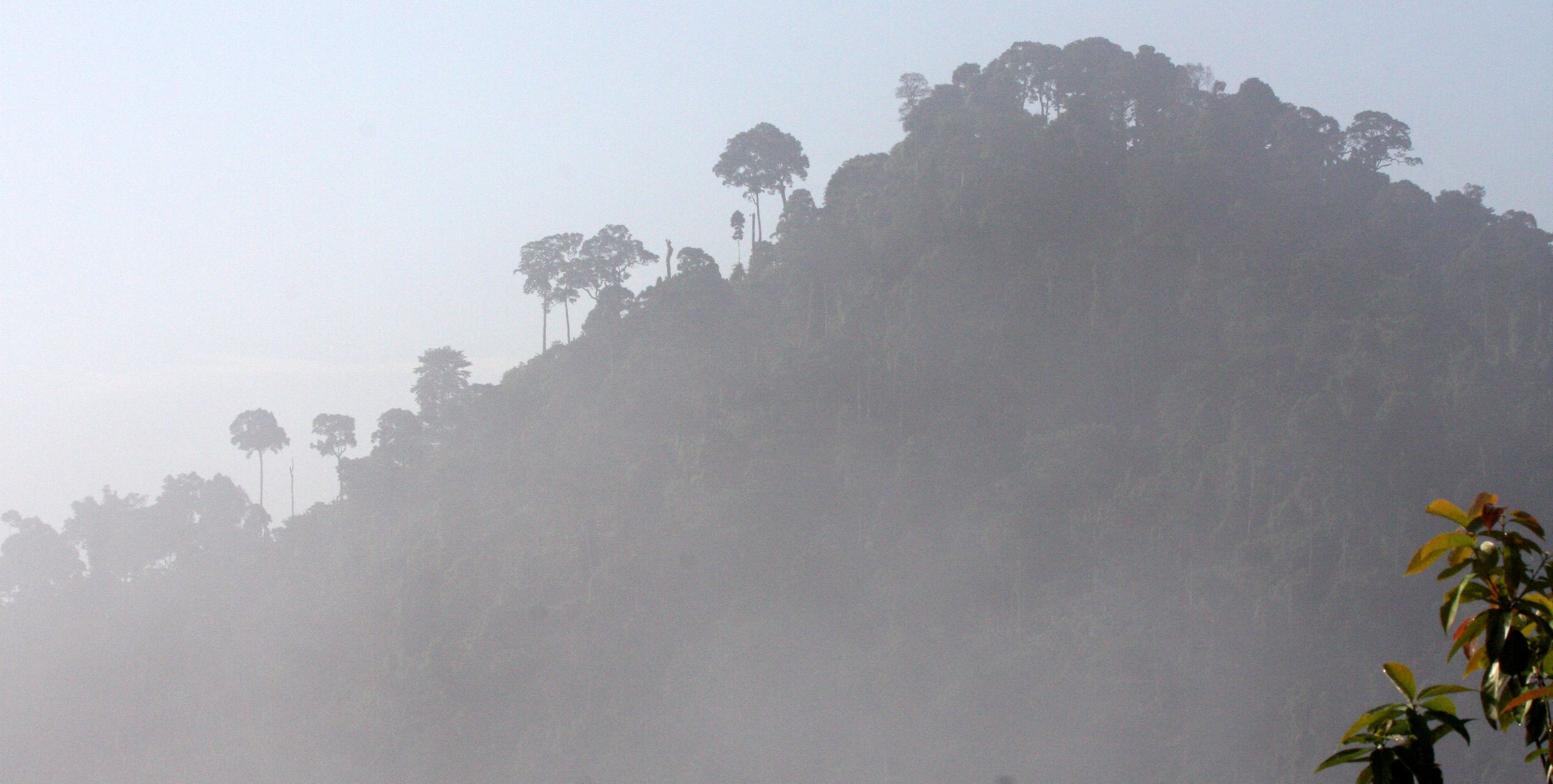 KRUNG CHIN NP - THALE MOG VIEW POINT THAILAND (13).JPG