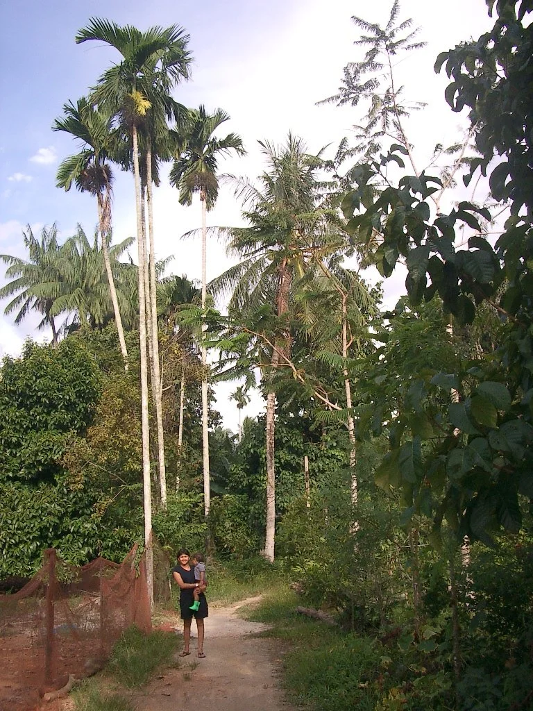 2004 Nakhonsithammarat with Family (6).JPG