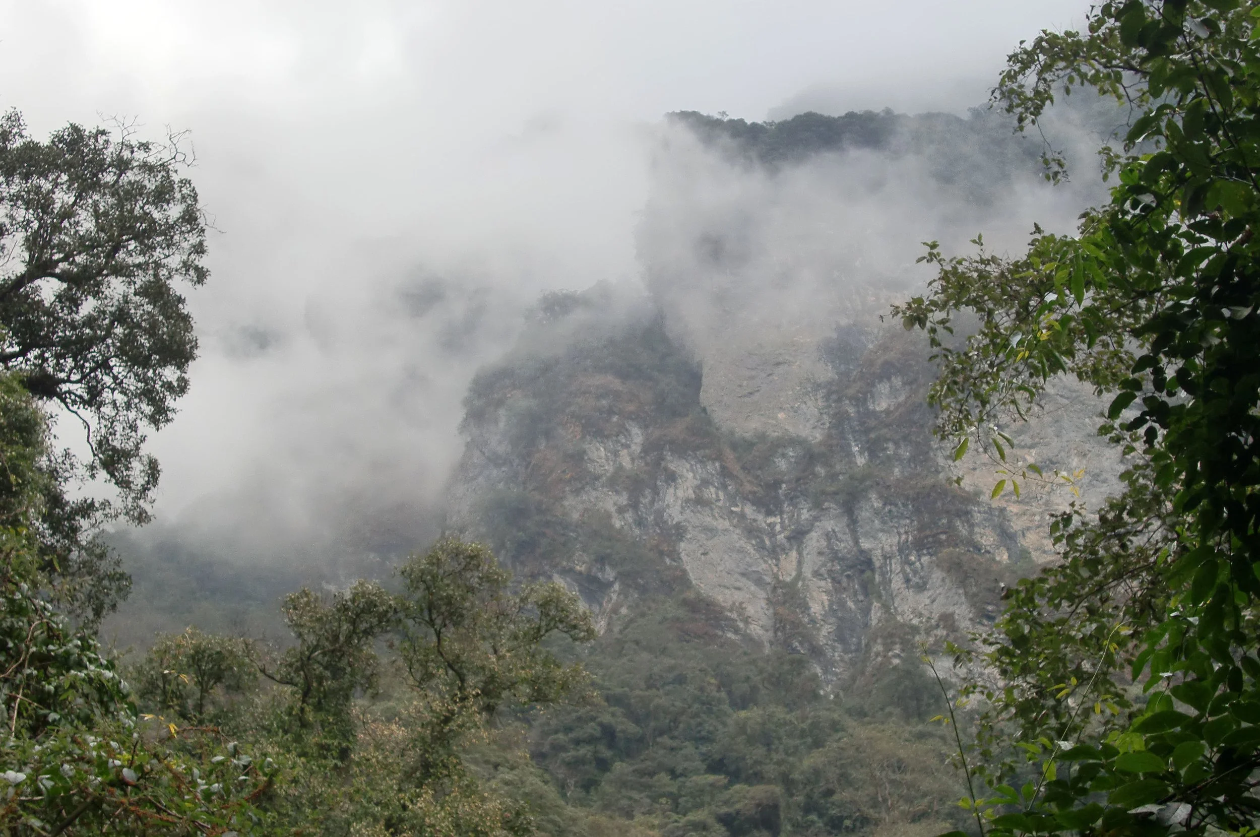 YUNNAN - WULIANGSHAN NATURE RESERVE AND SURROUNDING MOUNTAINS (34).JPG