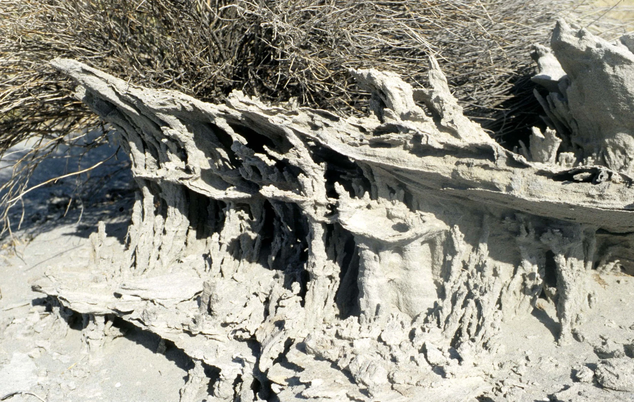 CALIFORNIA - MONO LAKE - SAND TUFAS.jpg
