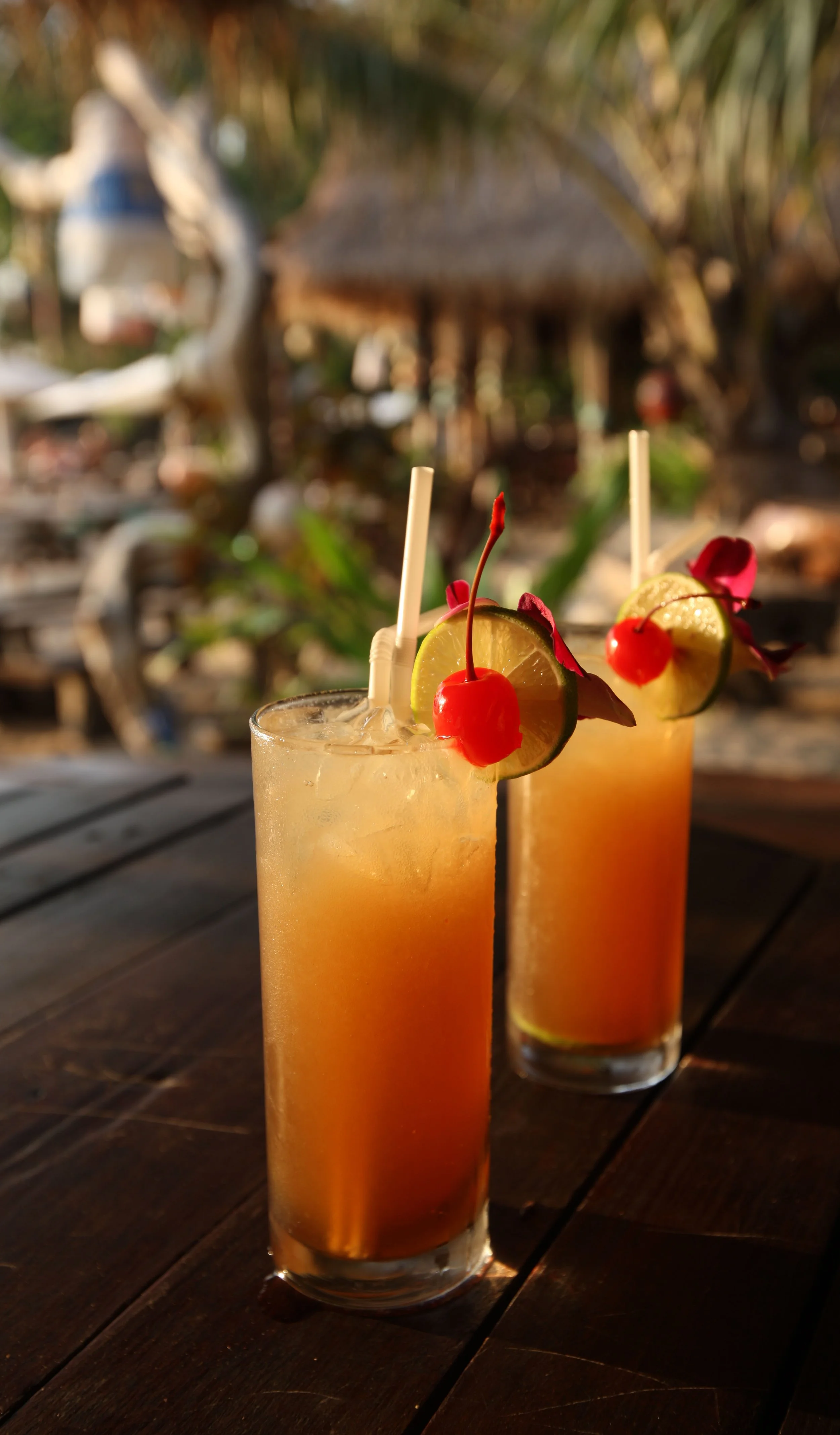 2015 Koh Lanta Build and Fun (85).JPG