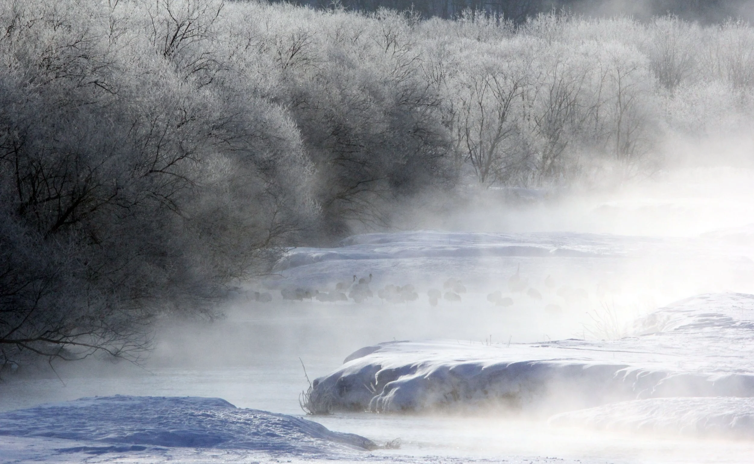 OTOWABASHI SETSUGAWA - TSURUI TOWN - HOKKAIDO JAPAN (44).JPG