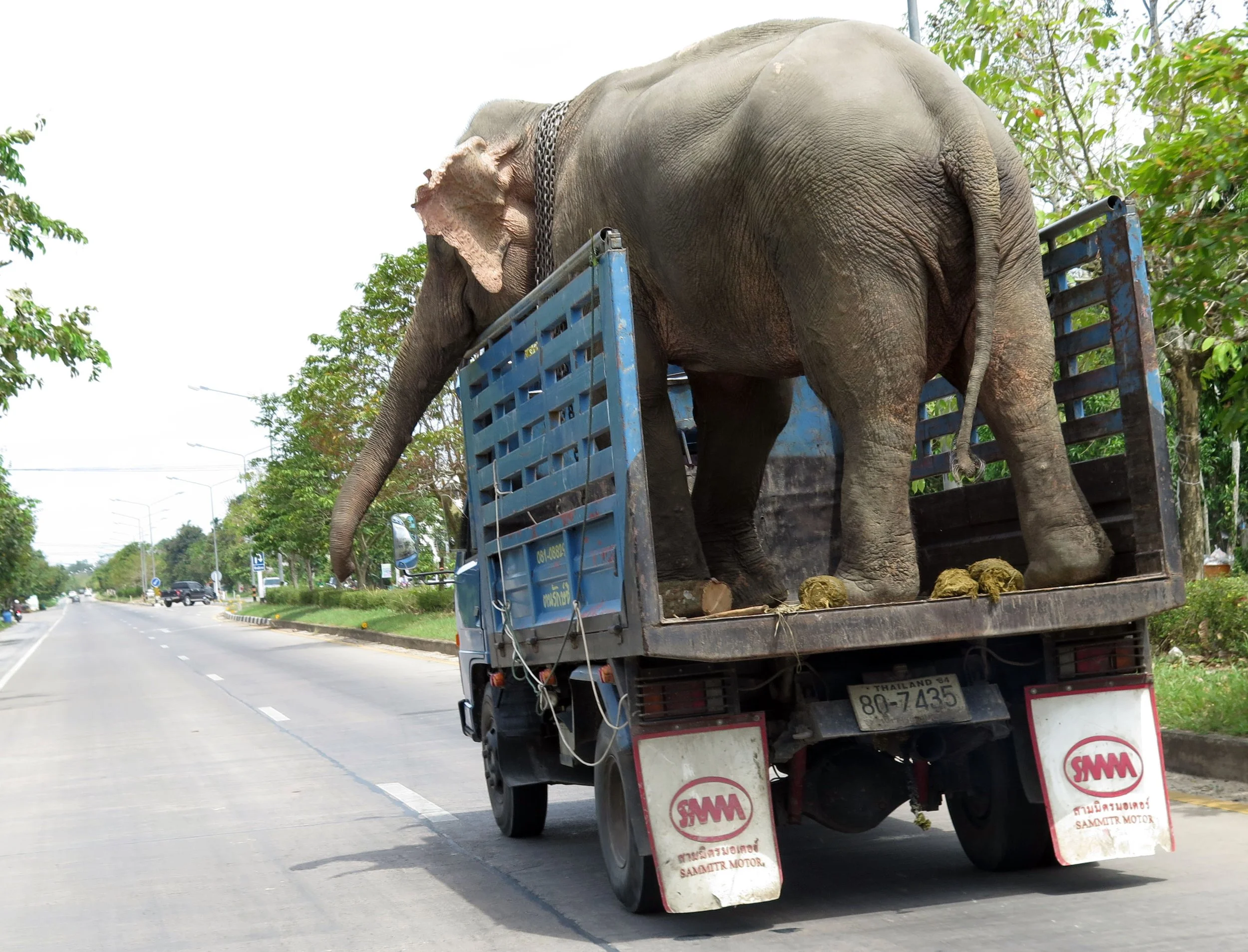 2014 Nakhonsithammarat with Family (79).JPG