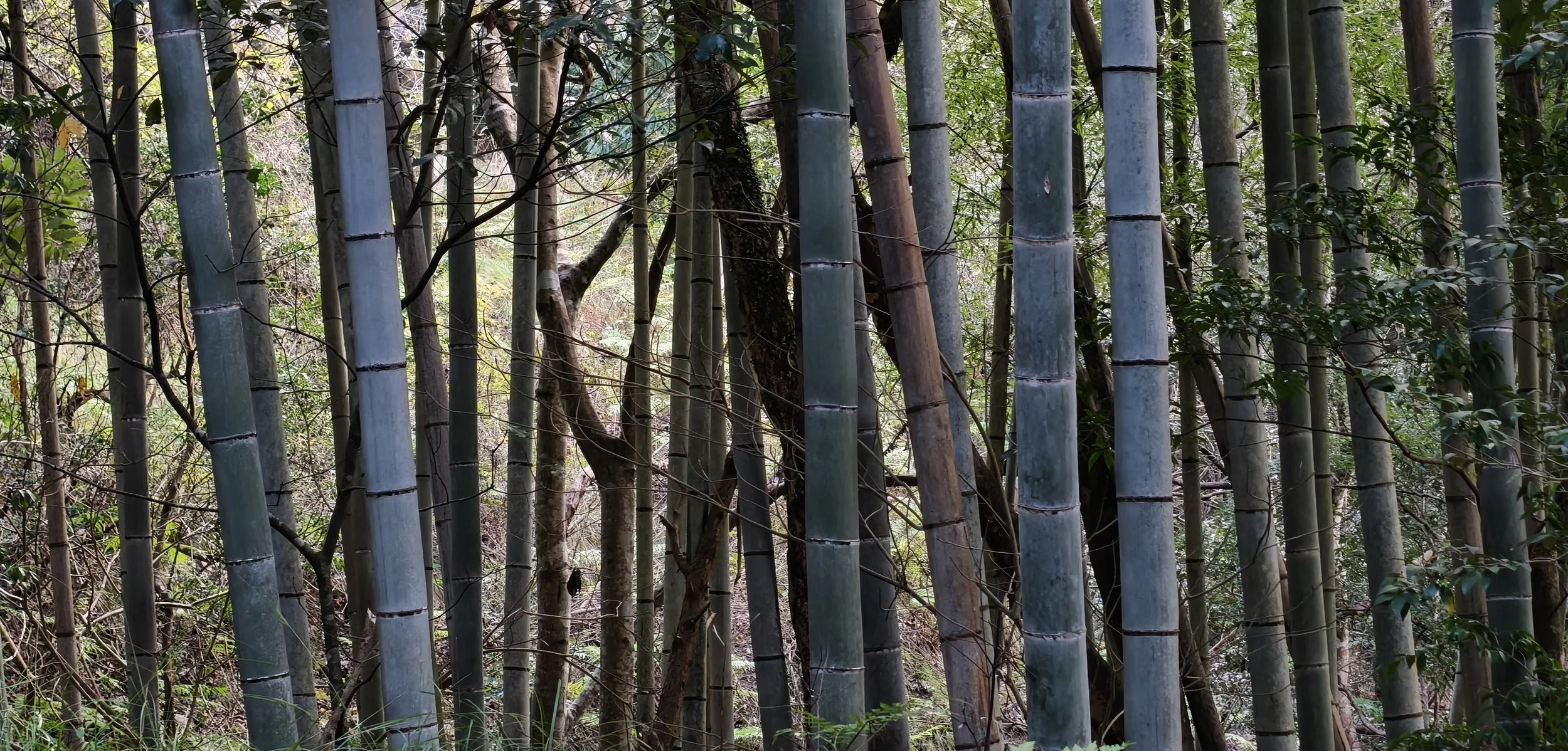 Takagawa Dam Lake Kagoshima Japan (5).jpg