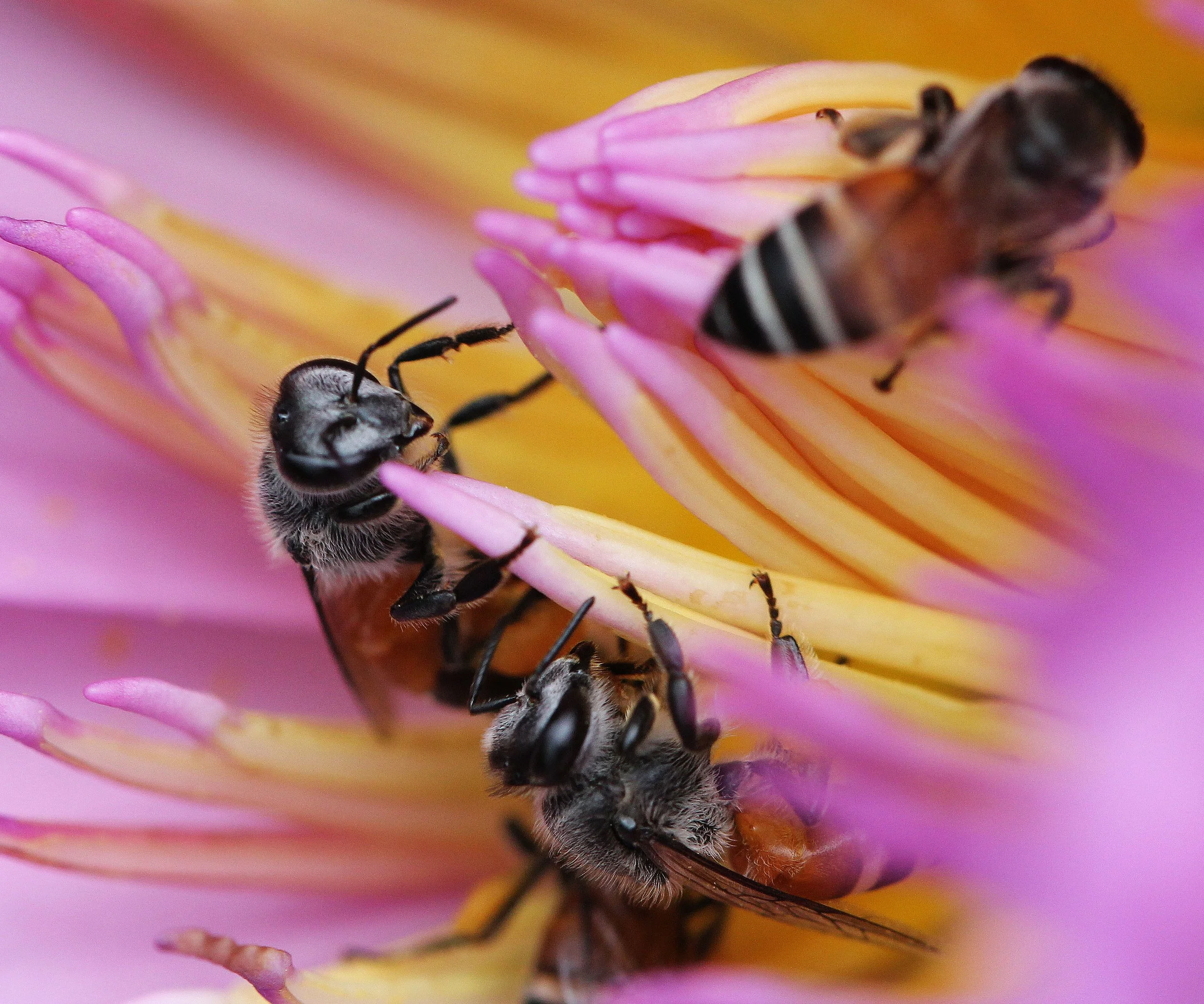 2013 Cha'am and Petchaburi with Family & Friends (52).JPG