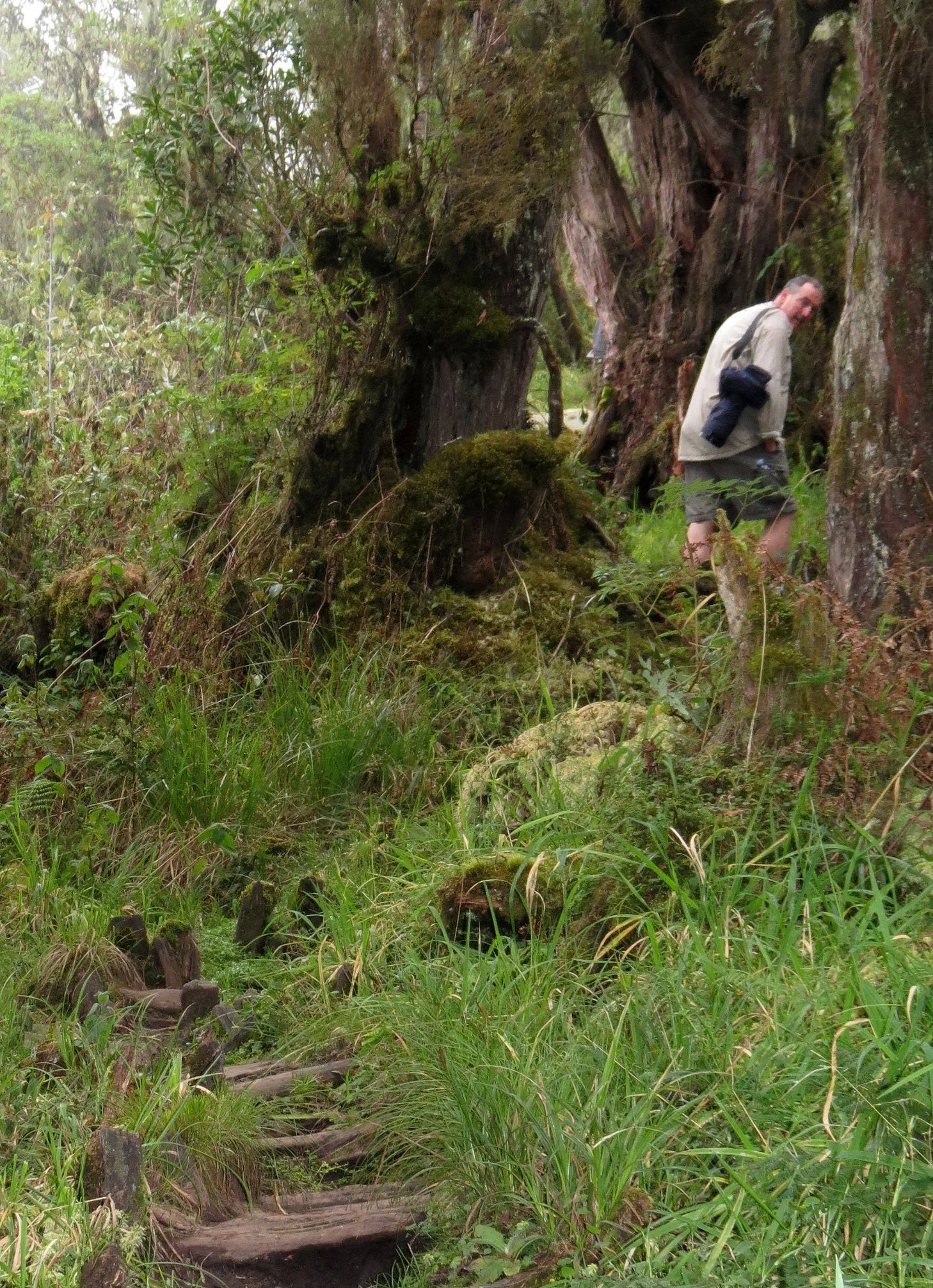 RWENZORI NATIONAL PARK UGANDA (132).JPG