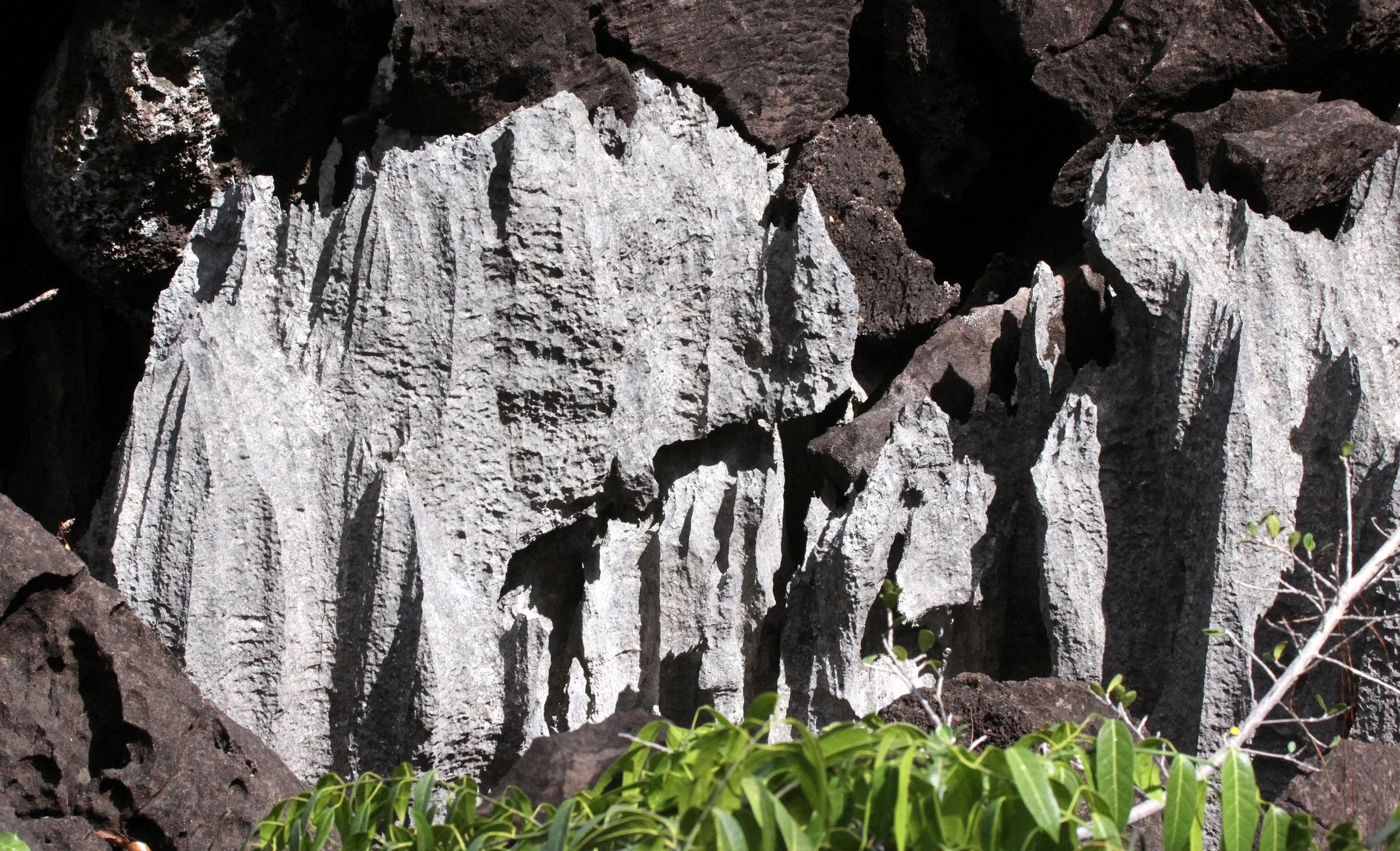 ANKARANA NATIONAL PARK MADAGASCAR - TSINGY FOREST (42).JPG