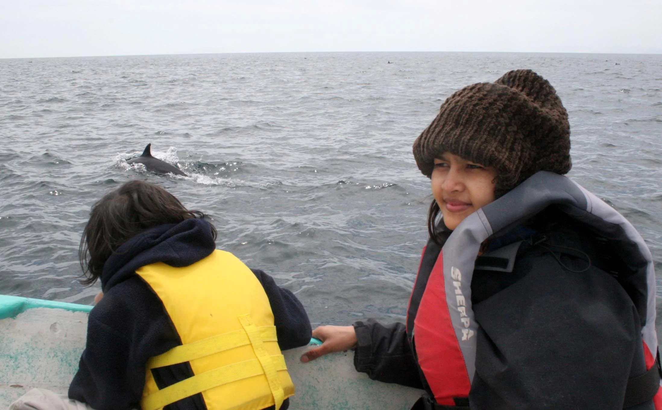 BAHIA LORETO NATIONAL MARINE PARK - PANGA RIDE SURFING WITH DOLPHINS (11).JPG